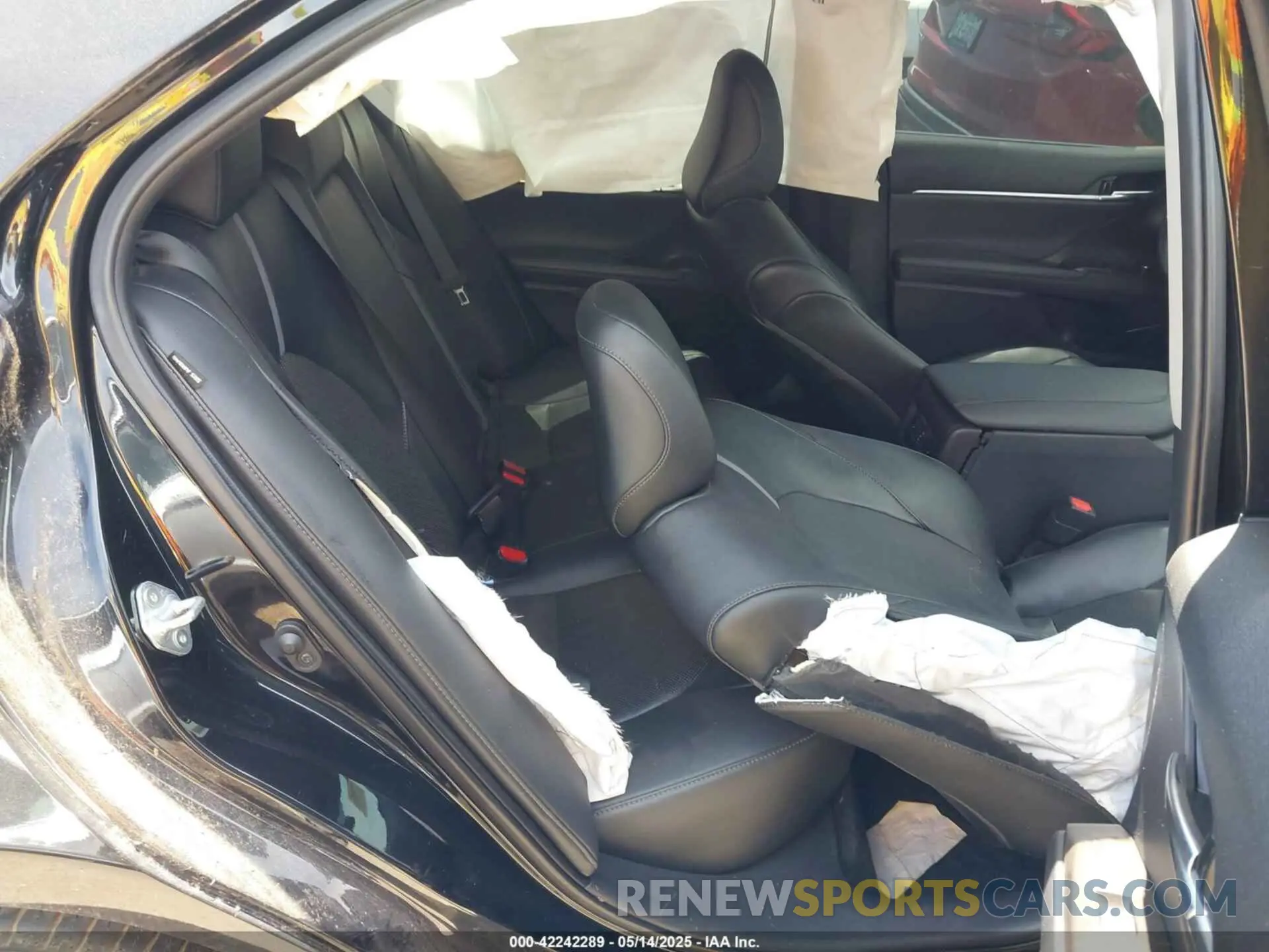 8 fotografías del automóvil dañado 4T1F11AK0MU446852 TOYOTA CAMRY 2021