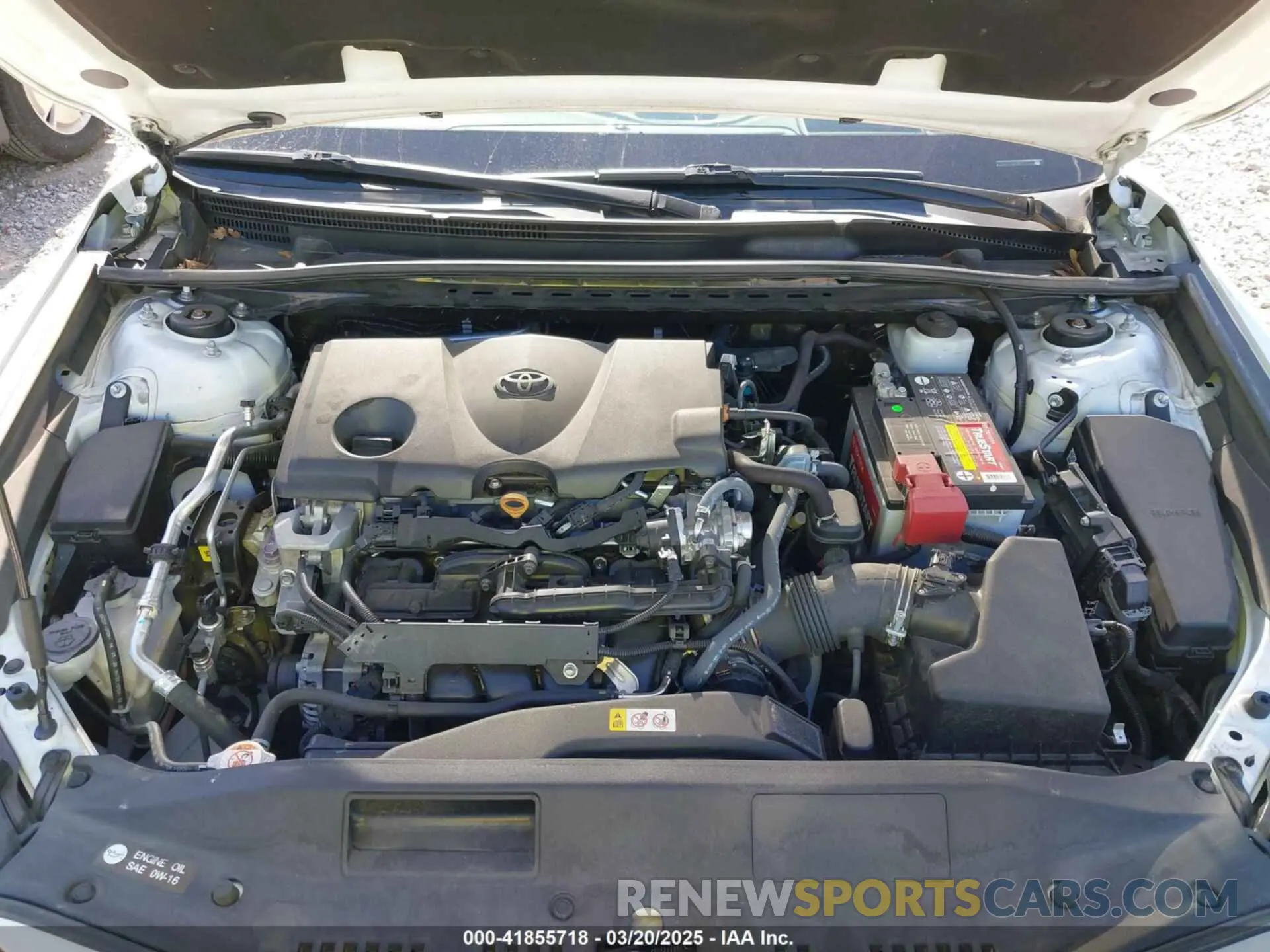 10 fotografías del automóvil dañado 4T1F11AK4MU534111 TOYOTA CAMRY 2021