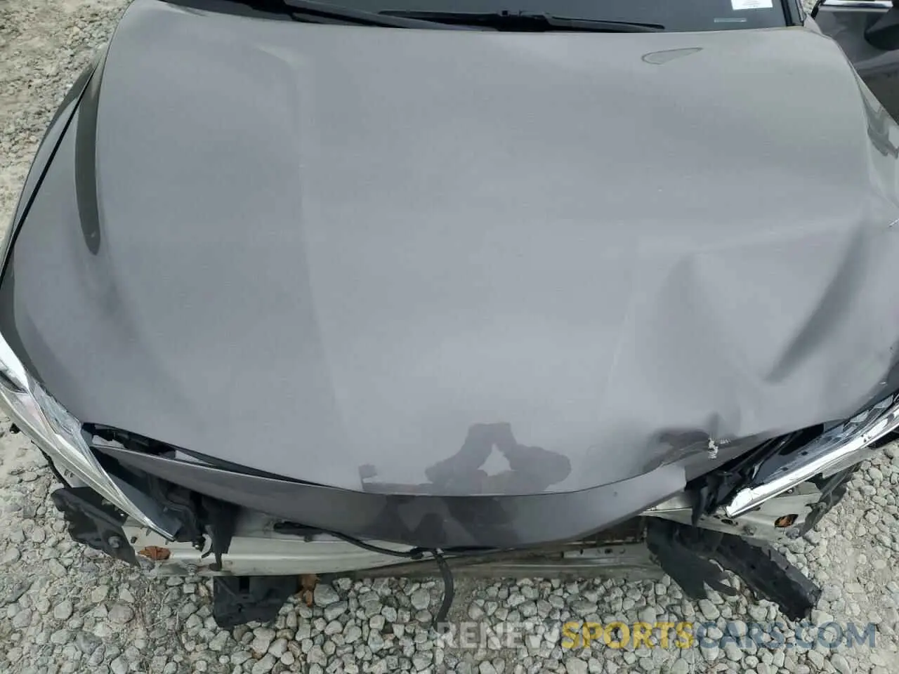 12 fotografías del automóvil dañado 4T1F11AK9MU605688 TOYOTA CAMRY 2021