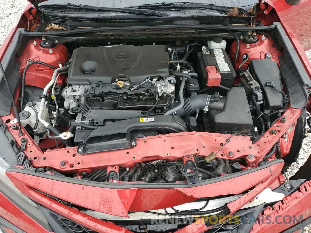 11 fotografías del automóvil dañado 4T1G11AK0MU421843 TOYOTA CAMRY 2021