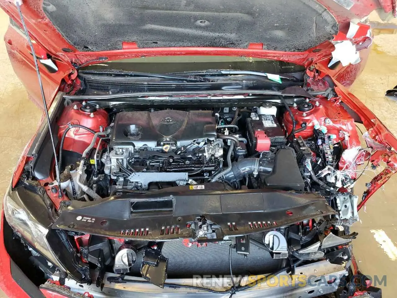 11 fotografías del automóvil dañado 4T1G11AK0MU440442 TOYOTA CAMRY 2021