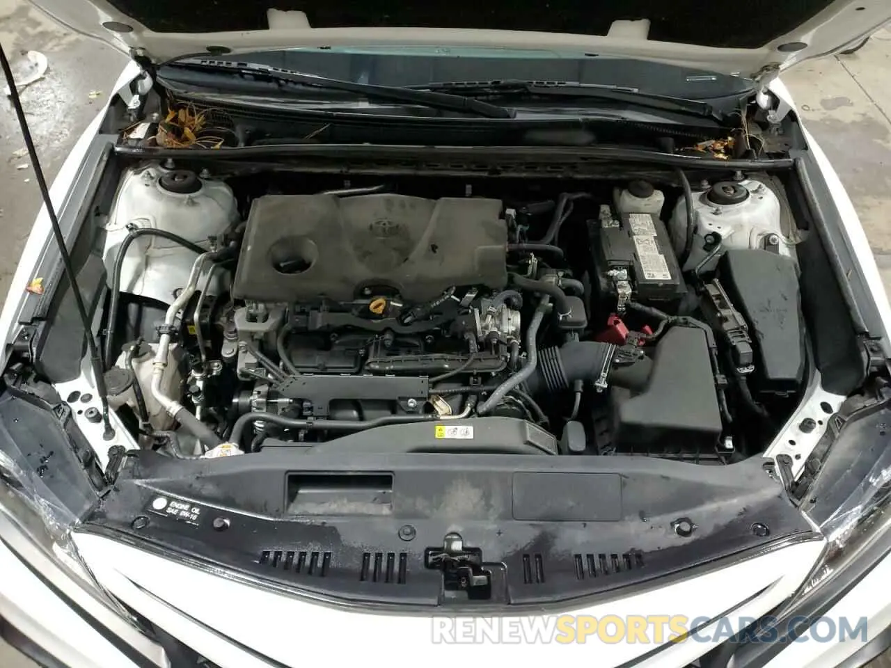 12 fotografías del automóvil dañado 4T1G11AK0MU561603 TOYOTA CAMRY 2021