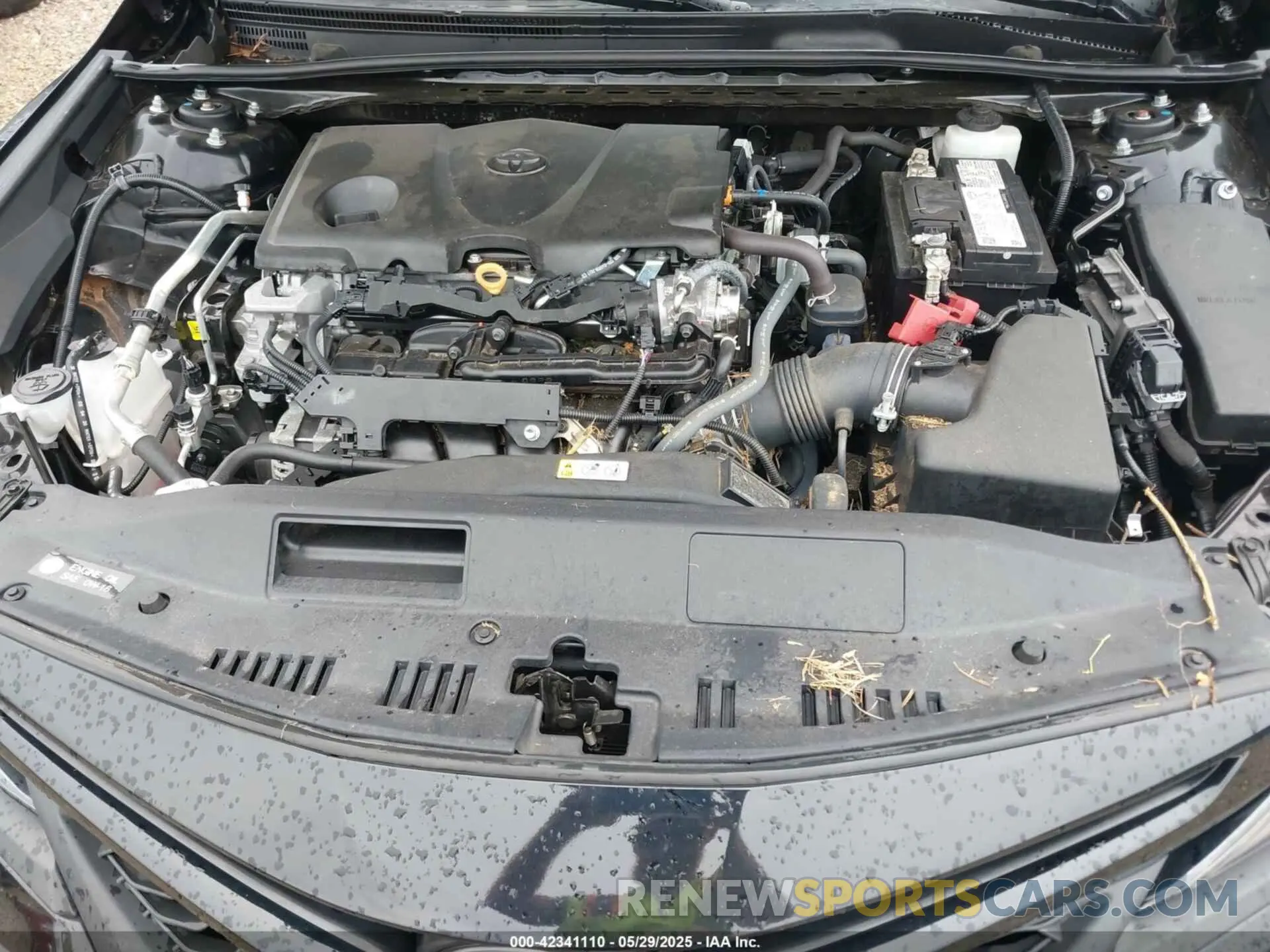 10 fotografías del automóvil dañado 4T1G11AK1MU517769 TOYOTA CAMRY 2021