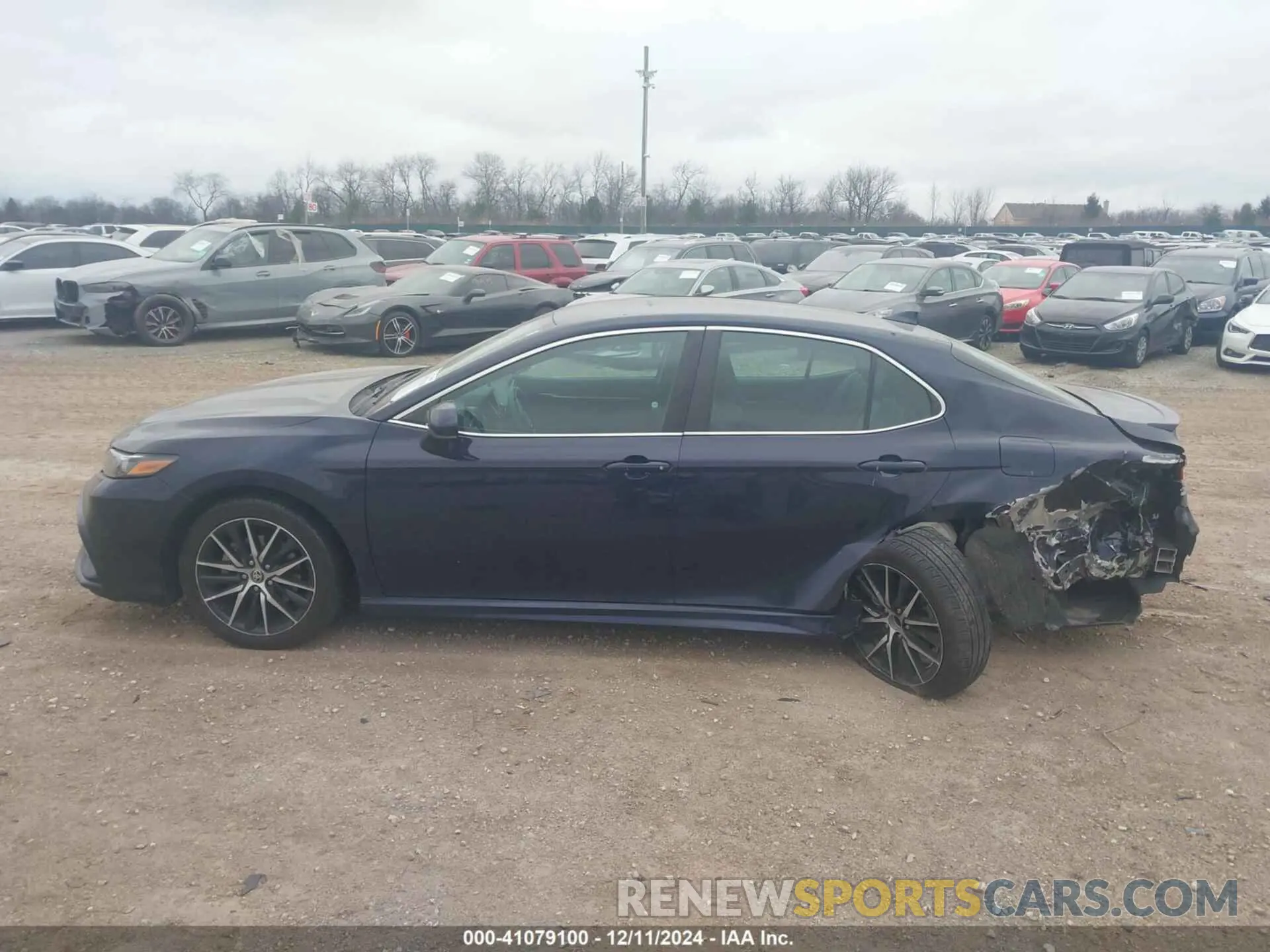 14 fotografías del automóvil dañado 4T1G11AK1MU597624 TOYOTA CAMRY 2021