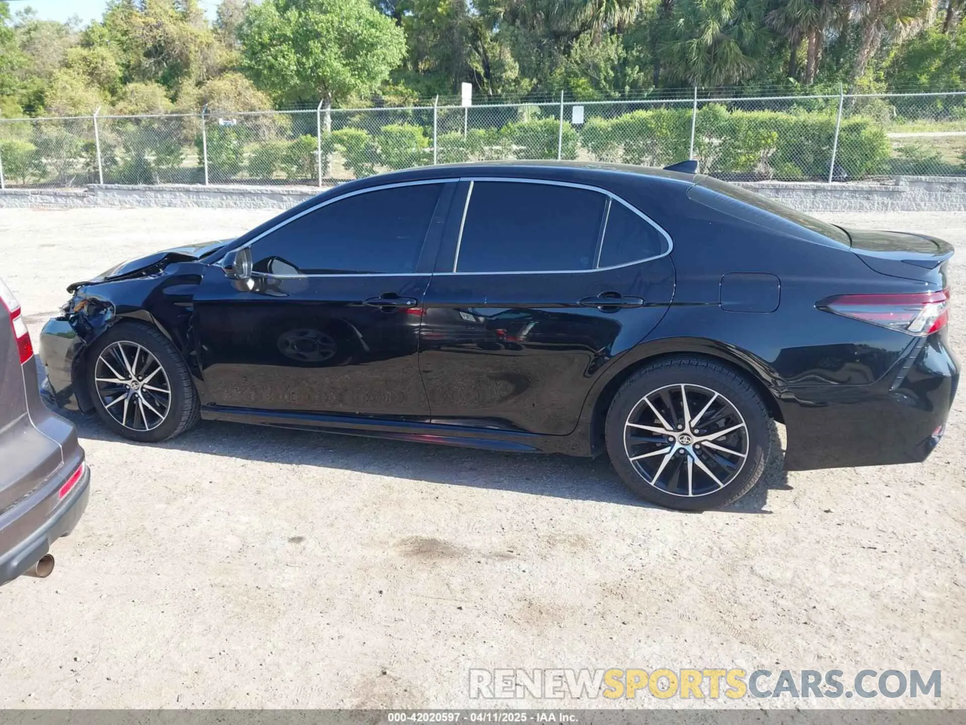 14 fotografías del automóvil dañado 4T1G11AK1MU602787 TOYOTA CAMRY 2021