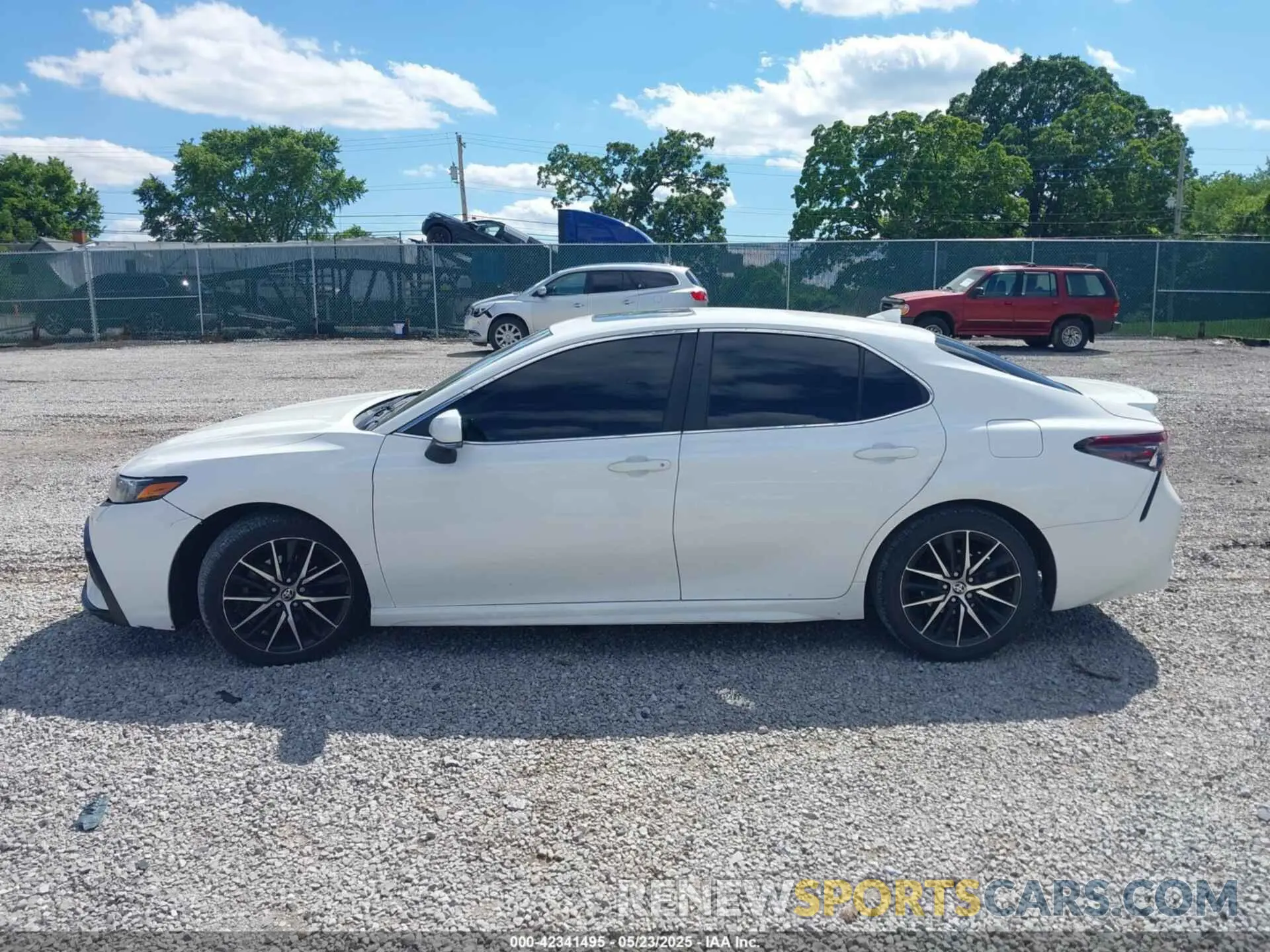 14 fotografías del automóvil dañado 4T1G11AK3MU410111 TOYOTA CAMRY 2021