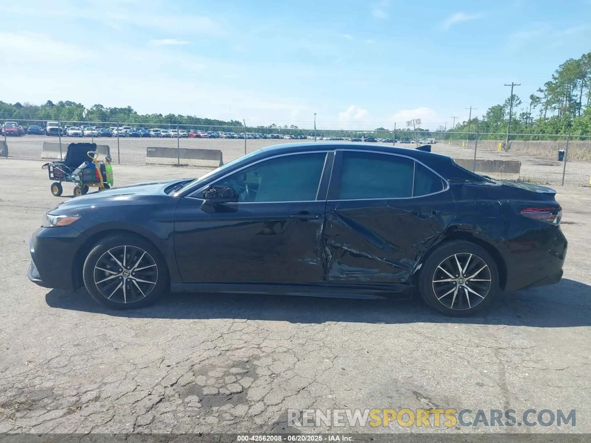 14 fotografías del automóvil dañado 4T1G11AK4MU402373 TOYOTA CAMRY 2021
