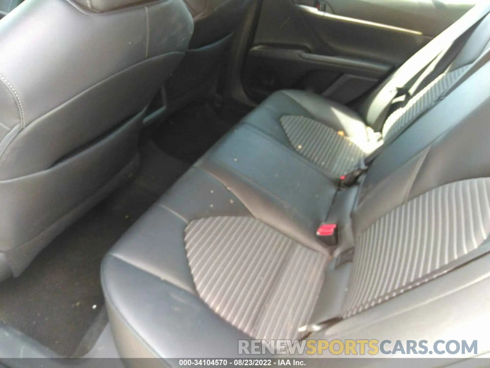 8 fotografías del automóvil dañado 4T1G11AK4MU445157 TOYOTA CAMRY 2021