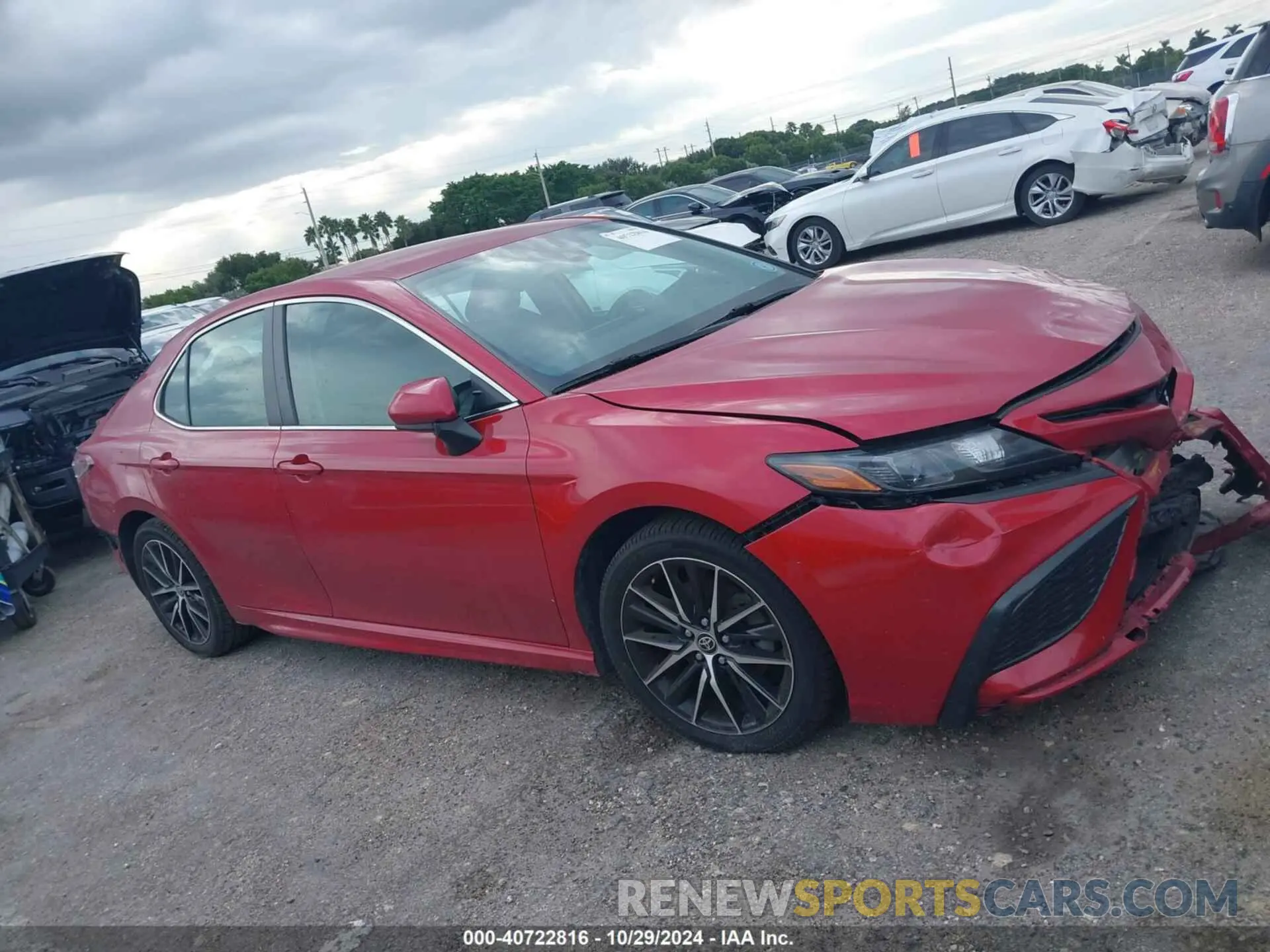 13 fotografías del automóvil dañado 4T1G11AK4MU485741 TOYOTA CAMRY 2021