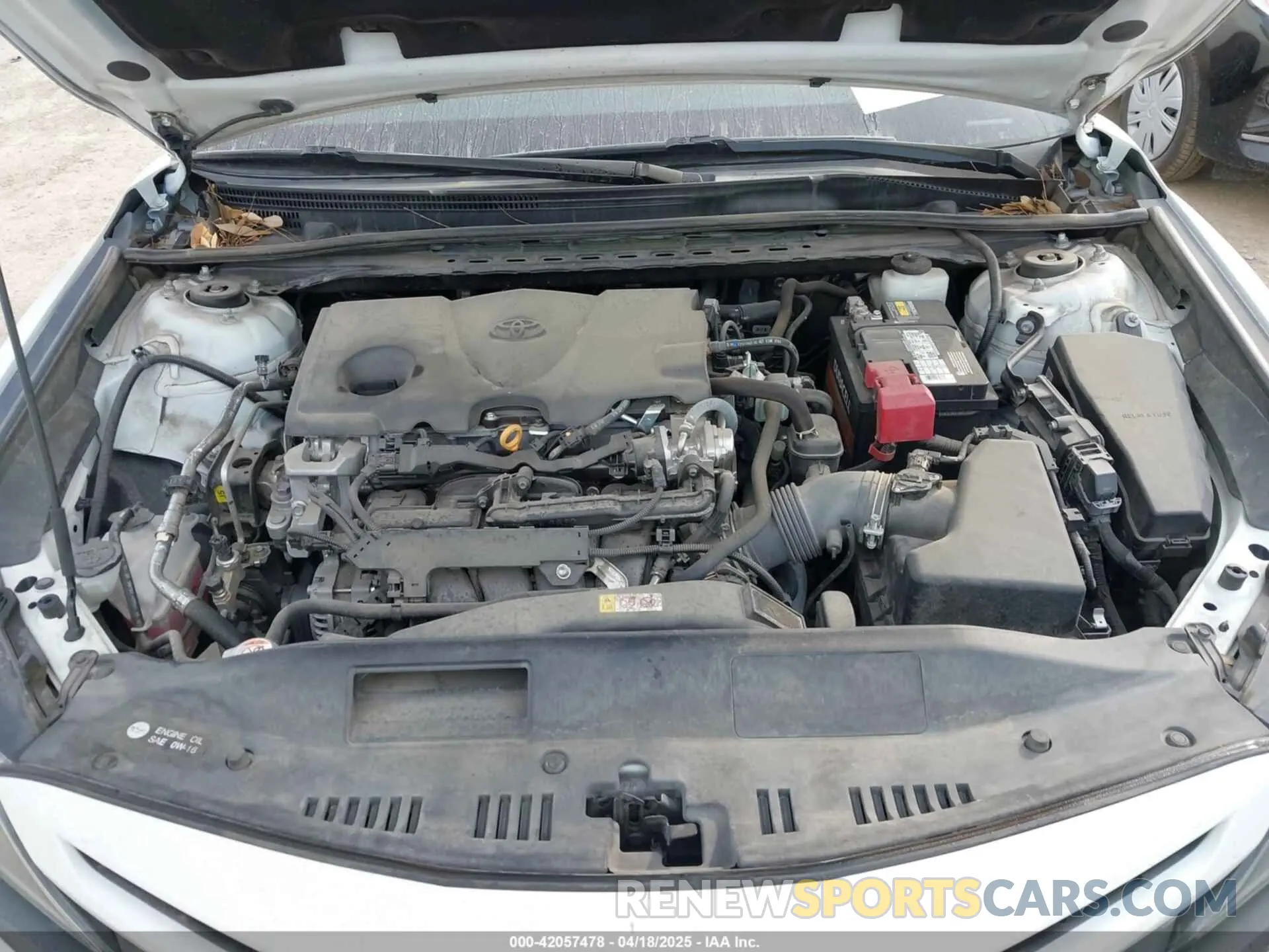 10 fotografías del automóvil dañado 4T1G11AK4MU496335 TOYOTA CAMRY 2021