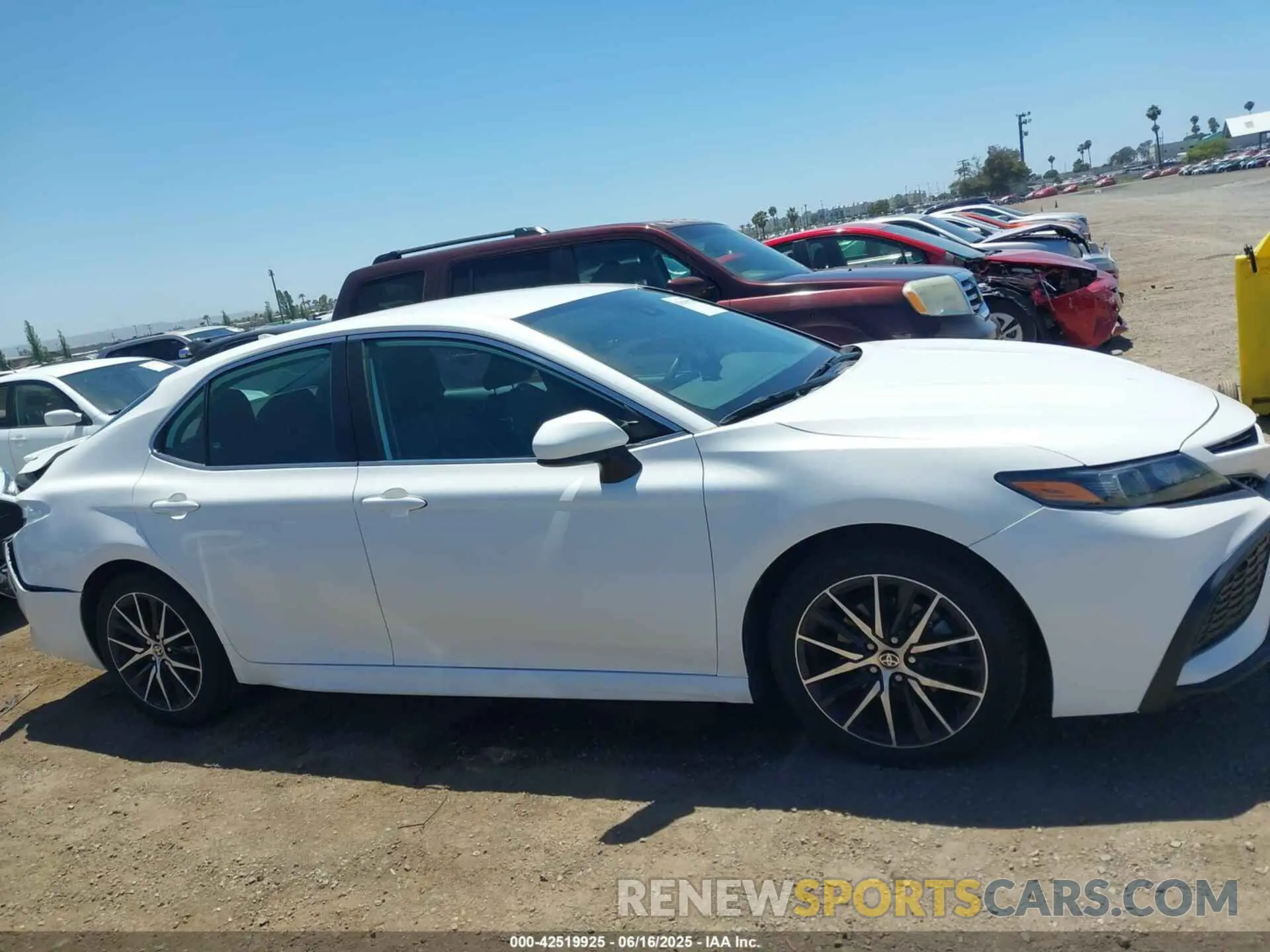 13 fotografías del automóvil dañado 4T1G11AK4MU594264 TOYOTA CAMRY 2021
