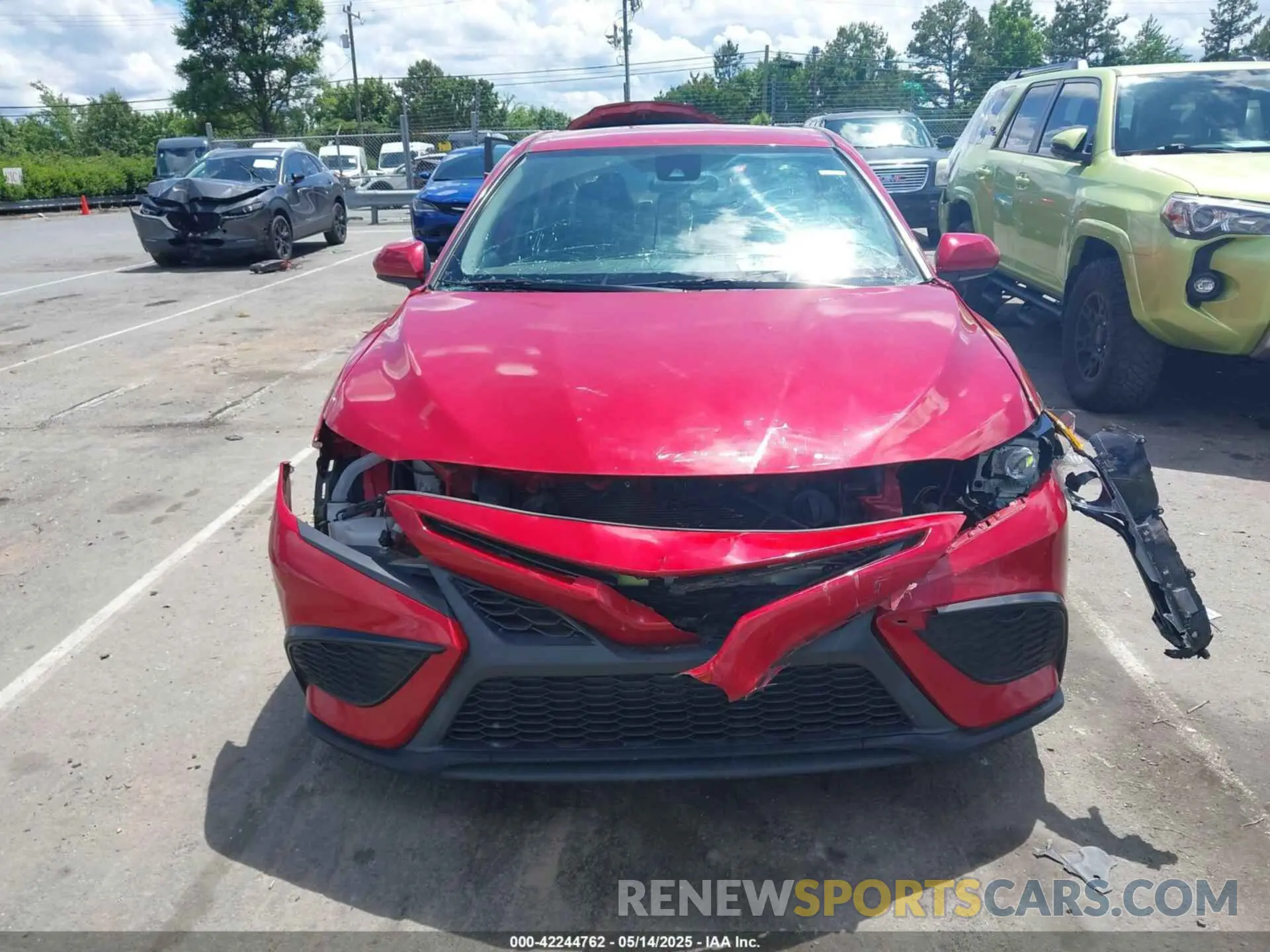 12 fotografías del automóvil dañado 4T1G11AK5MU407274 TOYOTA CAMRY 2021