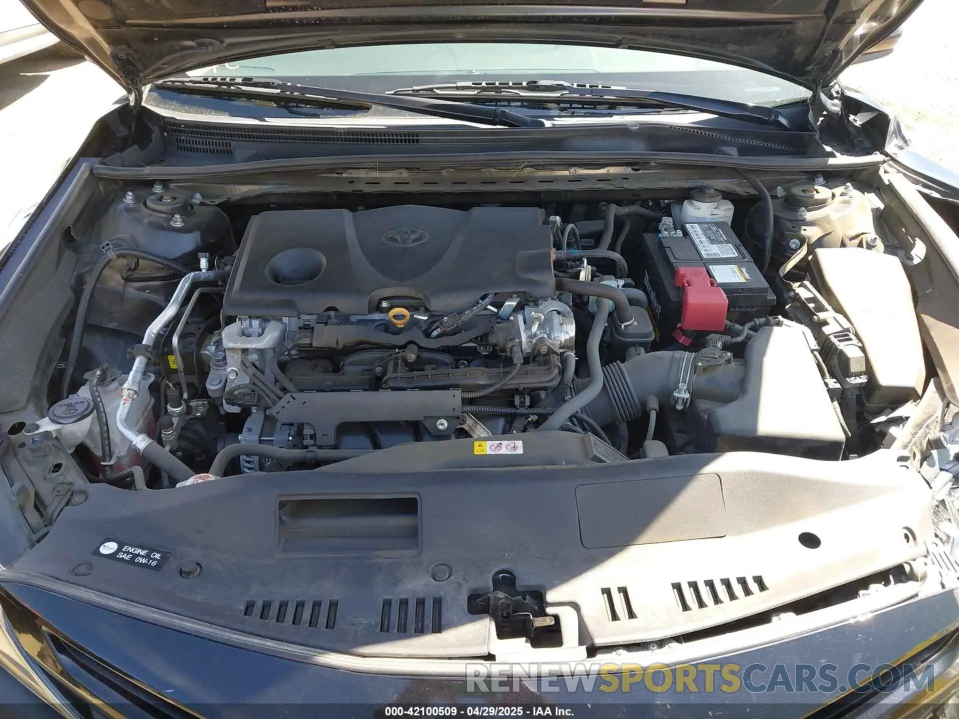10 fotografías del automóvil dañado 4T1G11AK5MU414404 TOYOTA CAMRY 2021