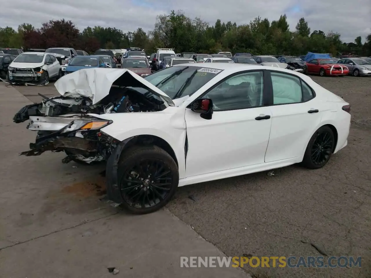 1 fotografías del automóvil dañado 4T1G11AK5MU470813 TOYOTA CAMRY 2021