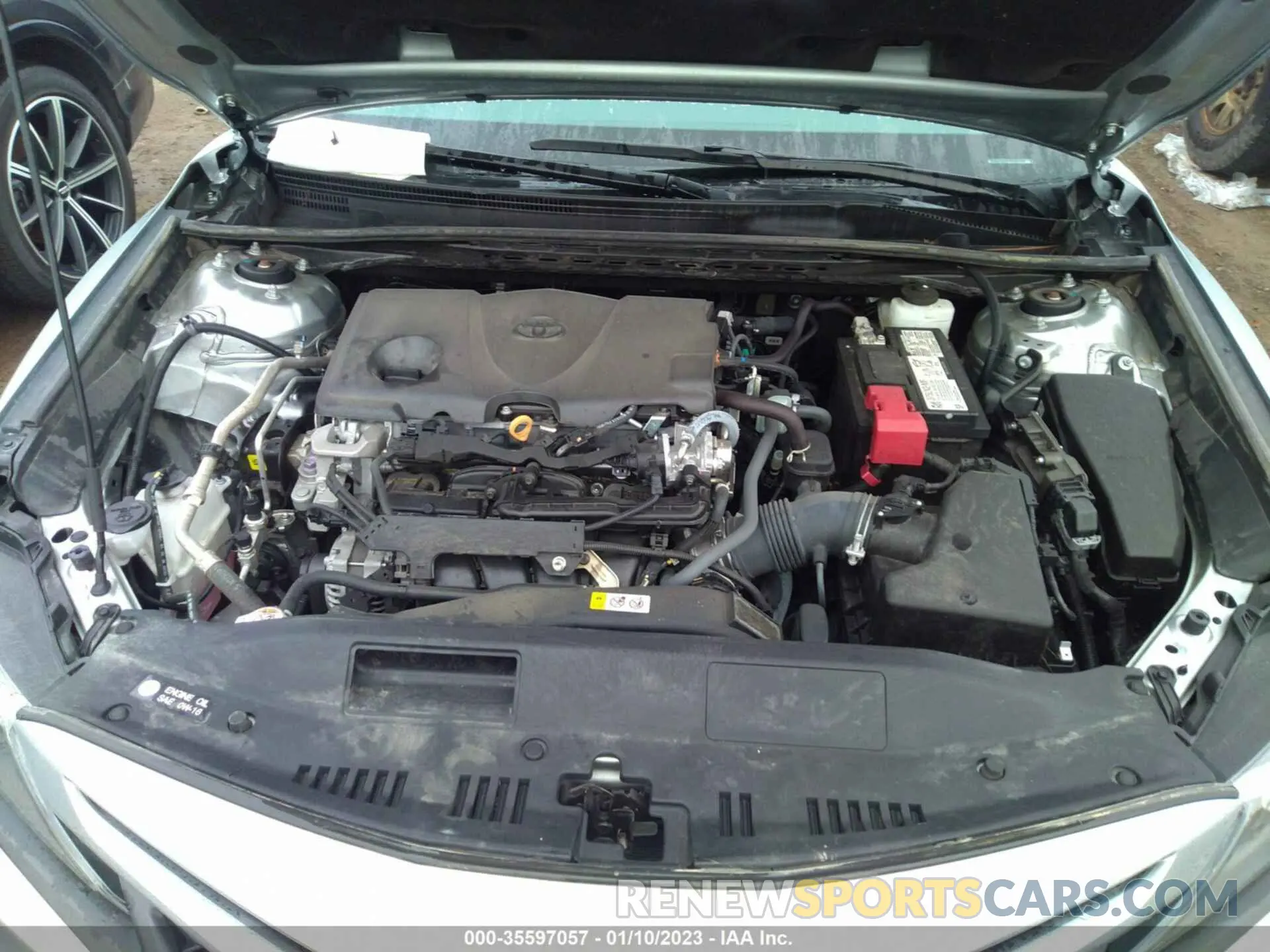 10 fotografías del automóvil dañado 4T1G11AK5MU551777 TOYOTA CAMRY 2021