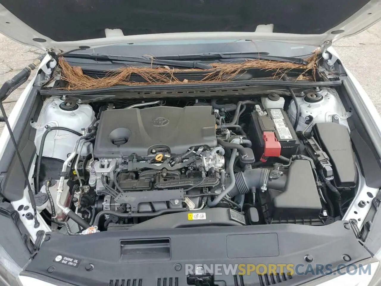 11 fotografías del automóvil dañado 4T1G11AK5MU565999 TOYOTA CAMRY 2021