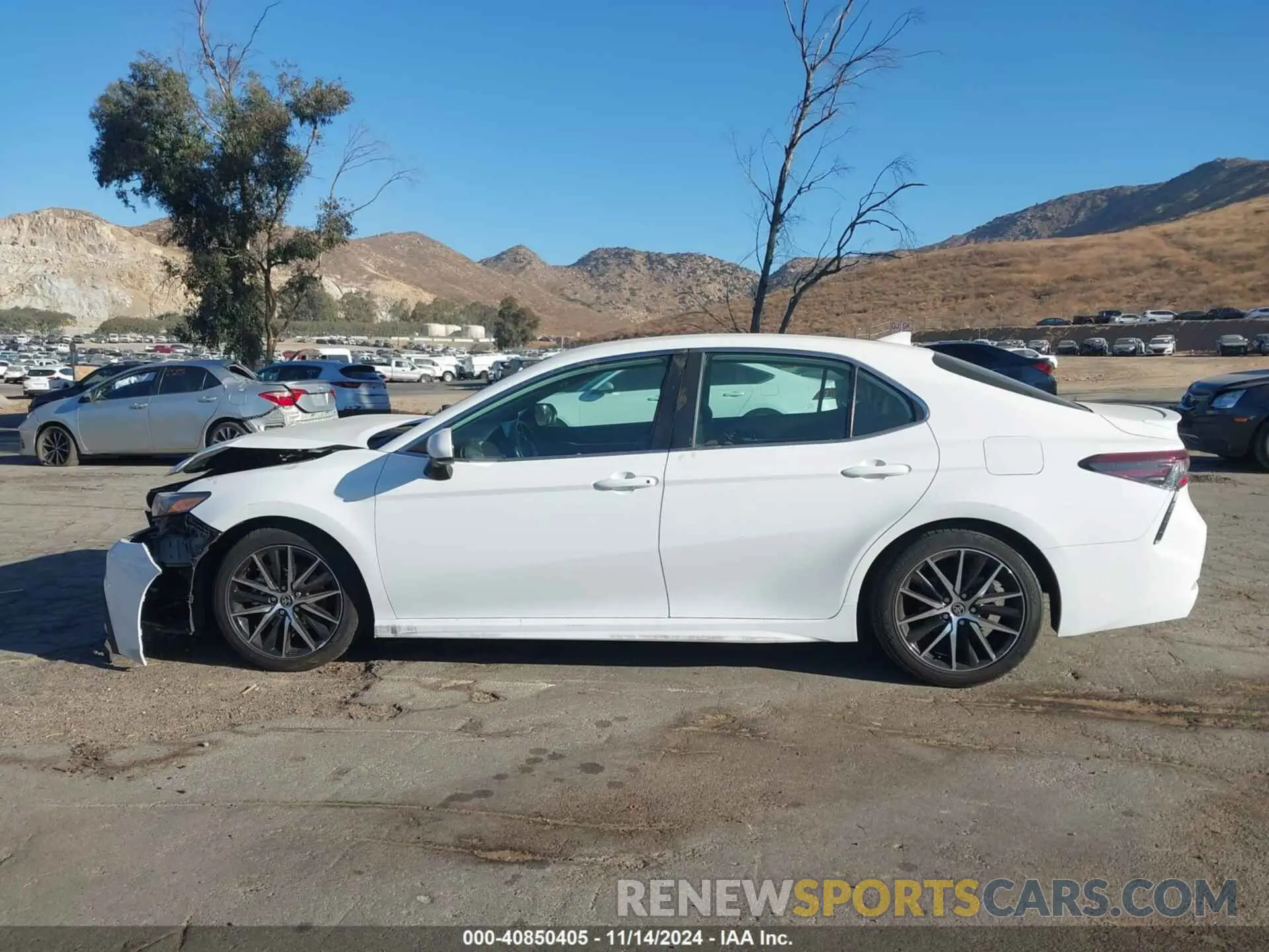15 fotografías del automóvil dañado 4T1G11AK6MU490343 TOYOTA CAMRY 2021