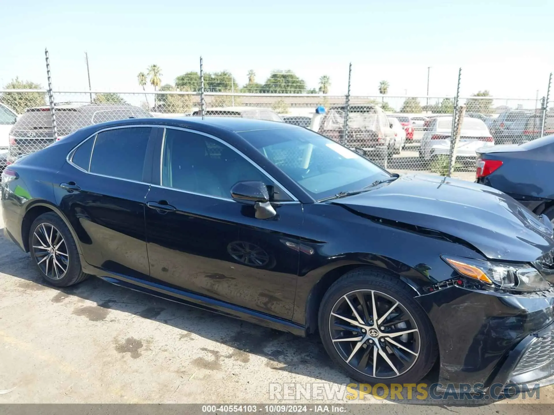 13 fotografías del automóvil dañado 4T1G11AK6MU597585 TOYOTA CAMRY 2021