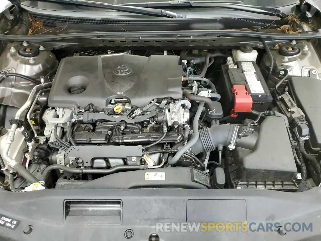 11 fotografías del automóvil dañado 4T1G11AK7MU598387 TOYOTA CAMRY 2021