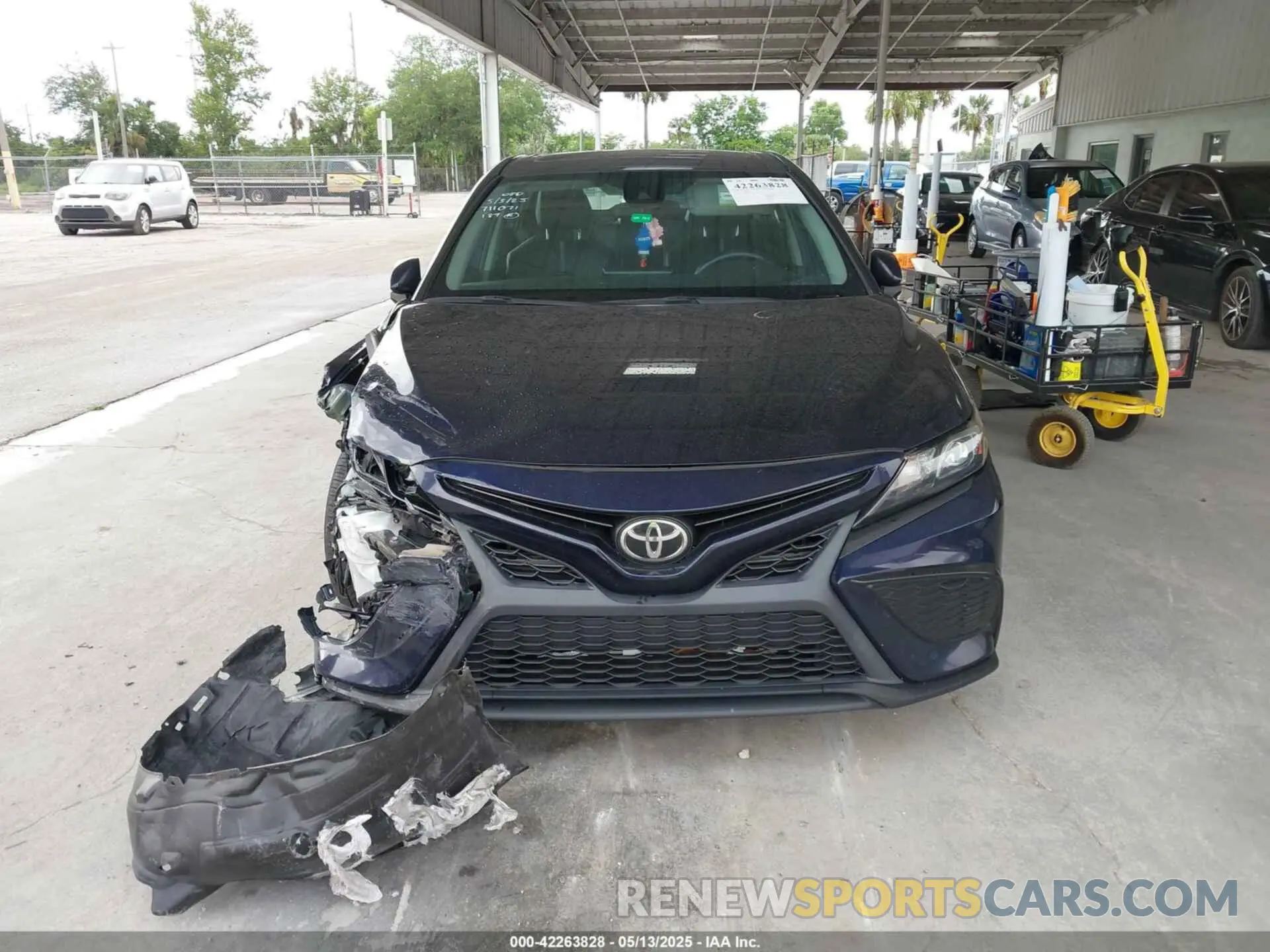 13 fotografías del automóvil dañado 4T1G11AK8MU533631 TOYOTA CAMRY 2021
