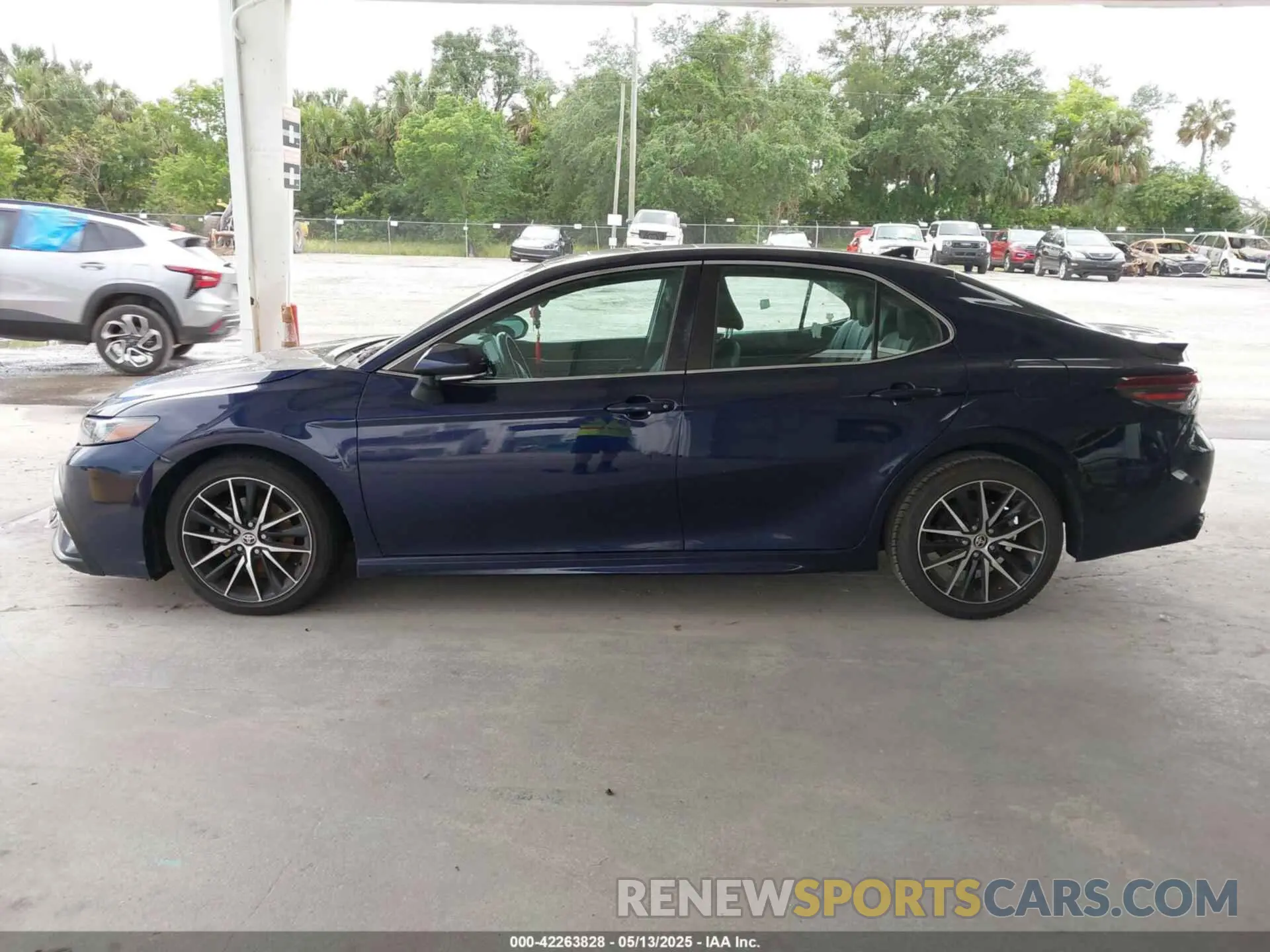15 fotografías del automóvil dañado 4T1G11AK8MU533631 TOYOTA CAMRY 2021