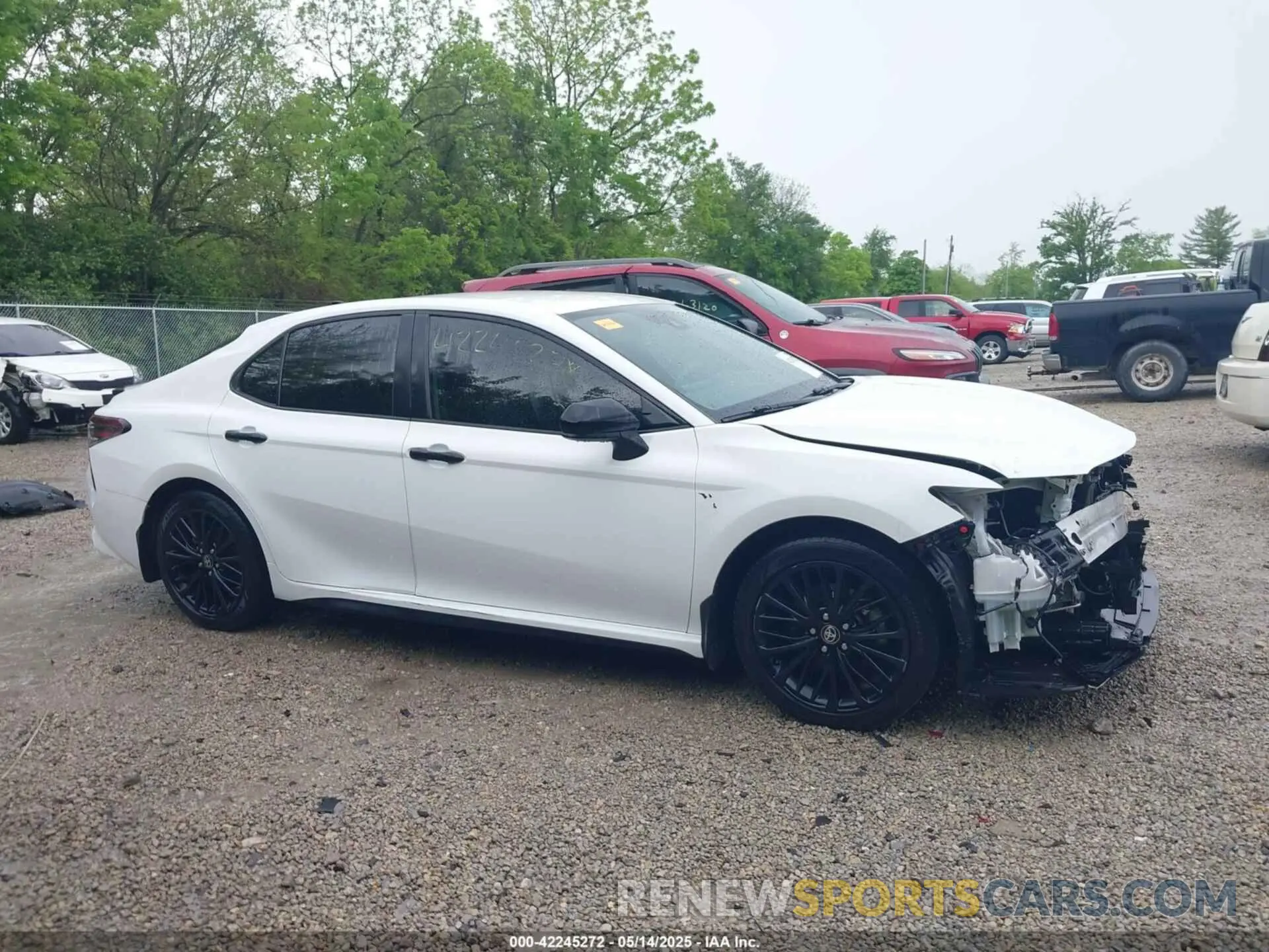14 fotografías del automóvil dañado 4T1G11AK9MU440780 TOYOTA CAMRY 2021