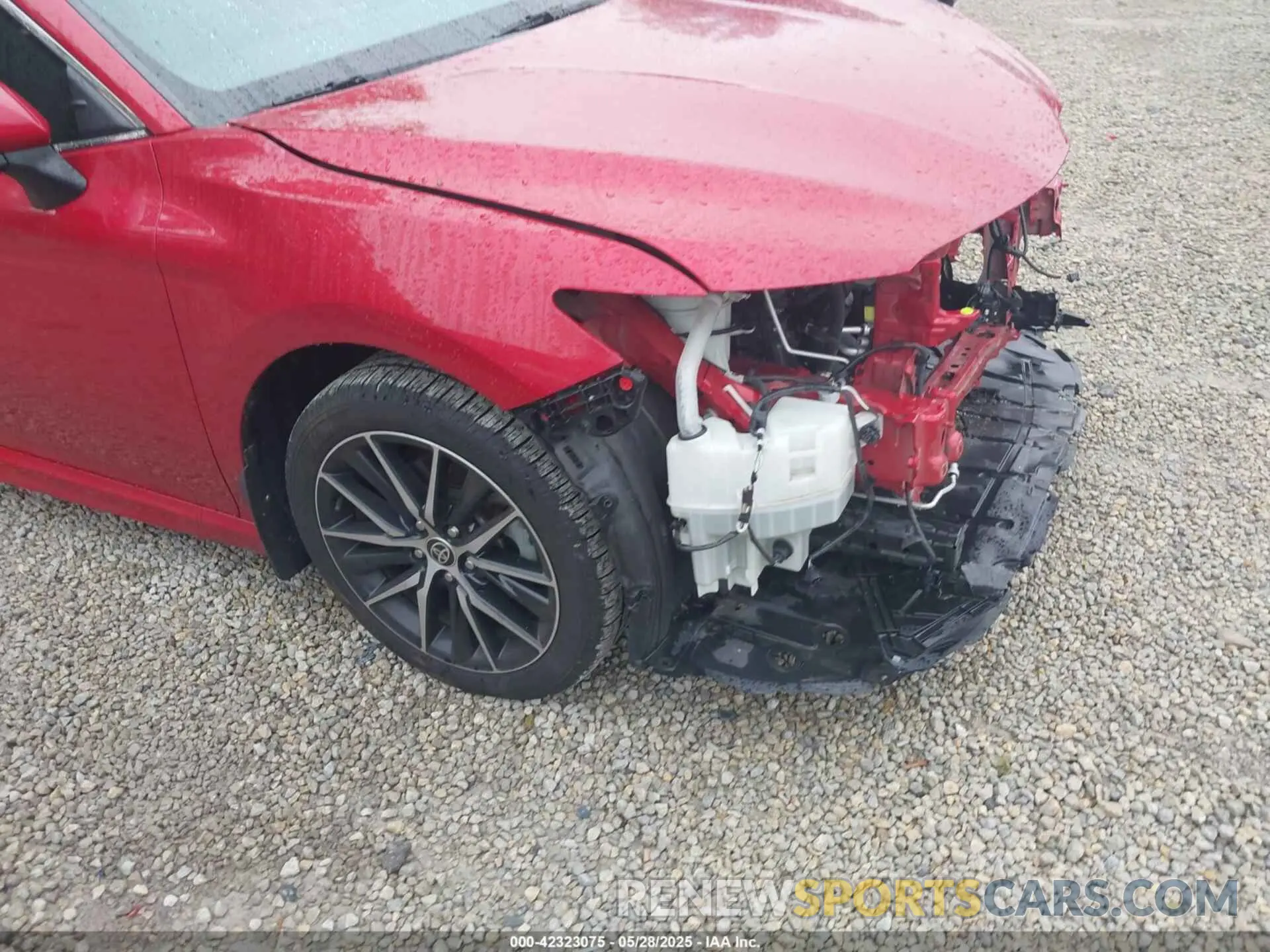 19 fotografías del automóvil dañado 4T1G11AK9MU442397 TOYOTA CAMRY 2021