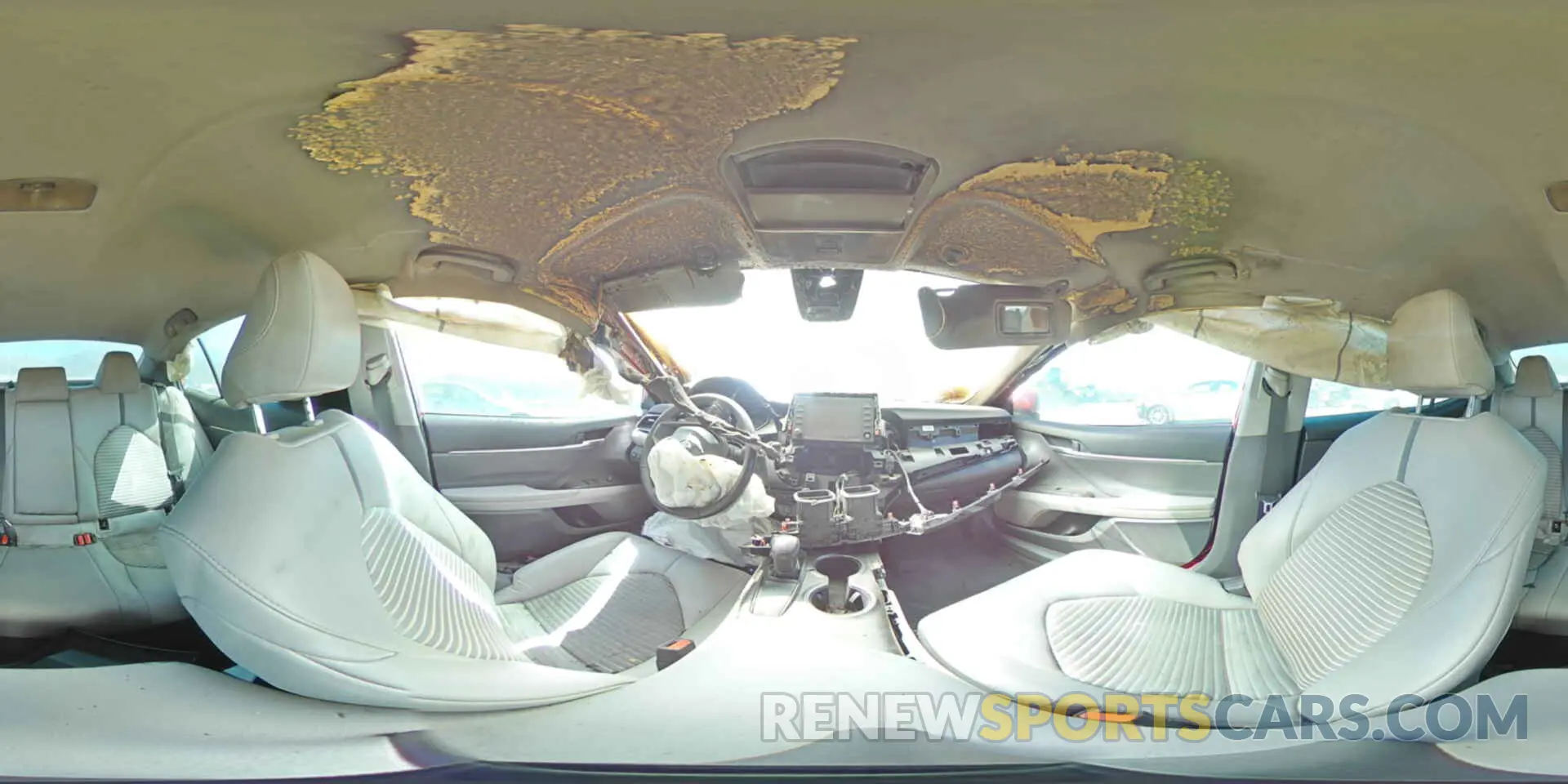 12 fotografías del automóvil dañado 4T1G11AKXMU416276 TOYOTA CAMRY 2021
