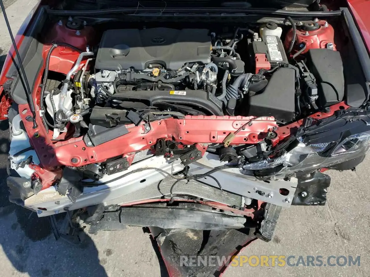 11 fotografías del automóvil dañado 4T1G11AKXMU446328 TOYOTA CAMRY 2021