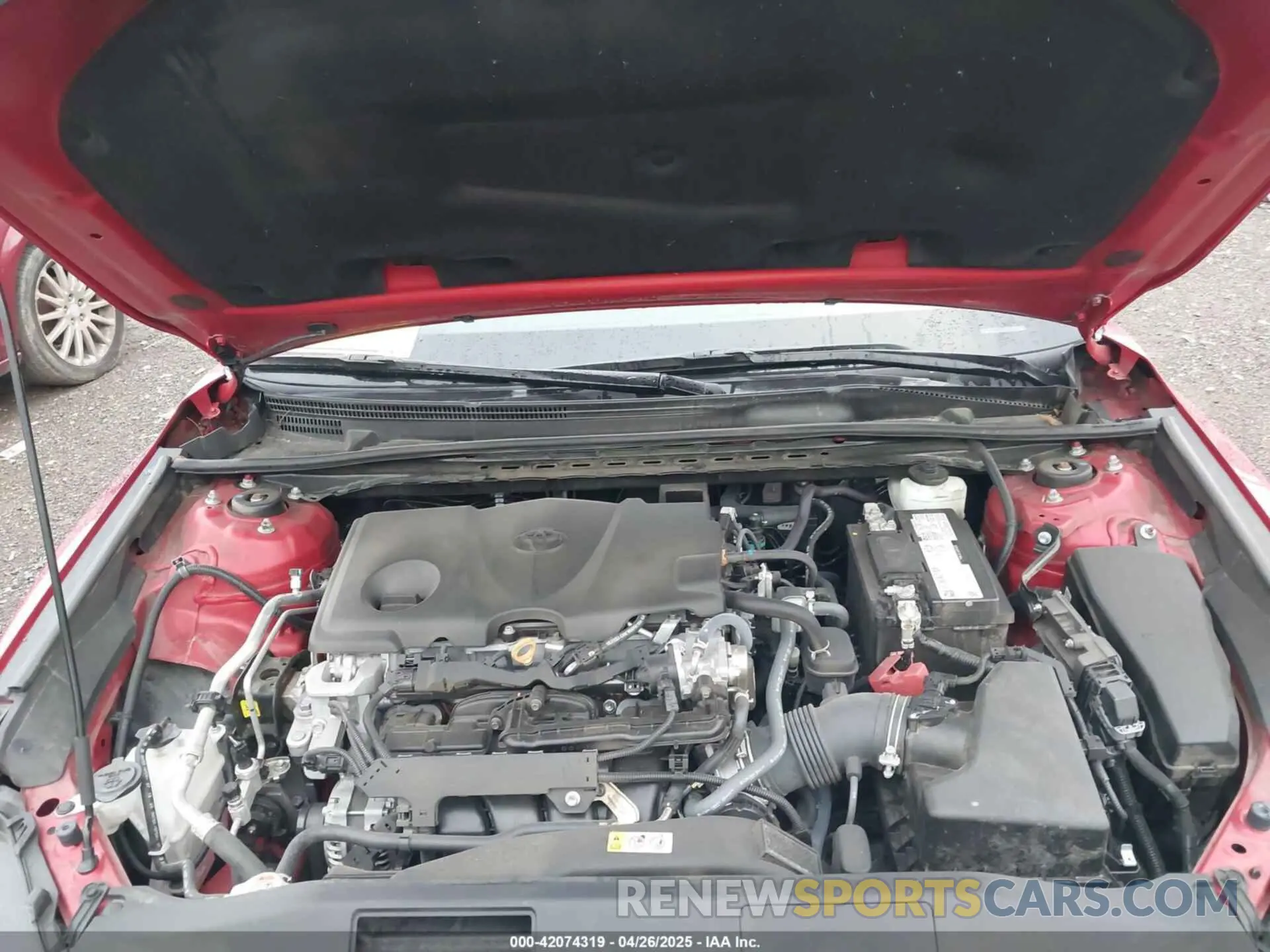 10 fotografías del automóvil dañado 4T1G11BK2MU045239 TOYOTA CAMRY 2021