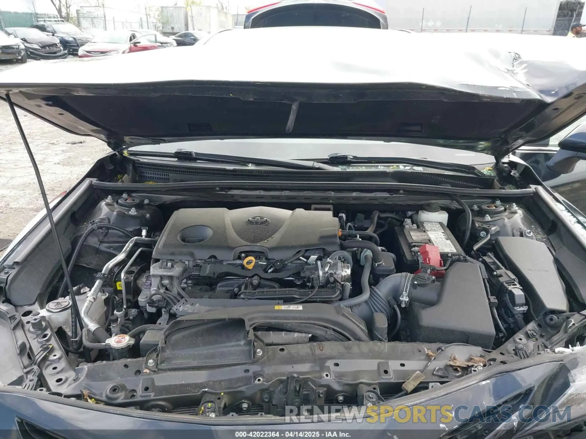 10 fotografías del automóvil dañado 4T1G11BK7MU037007 TOYOTA CAMRY 2021