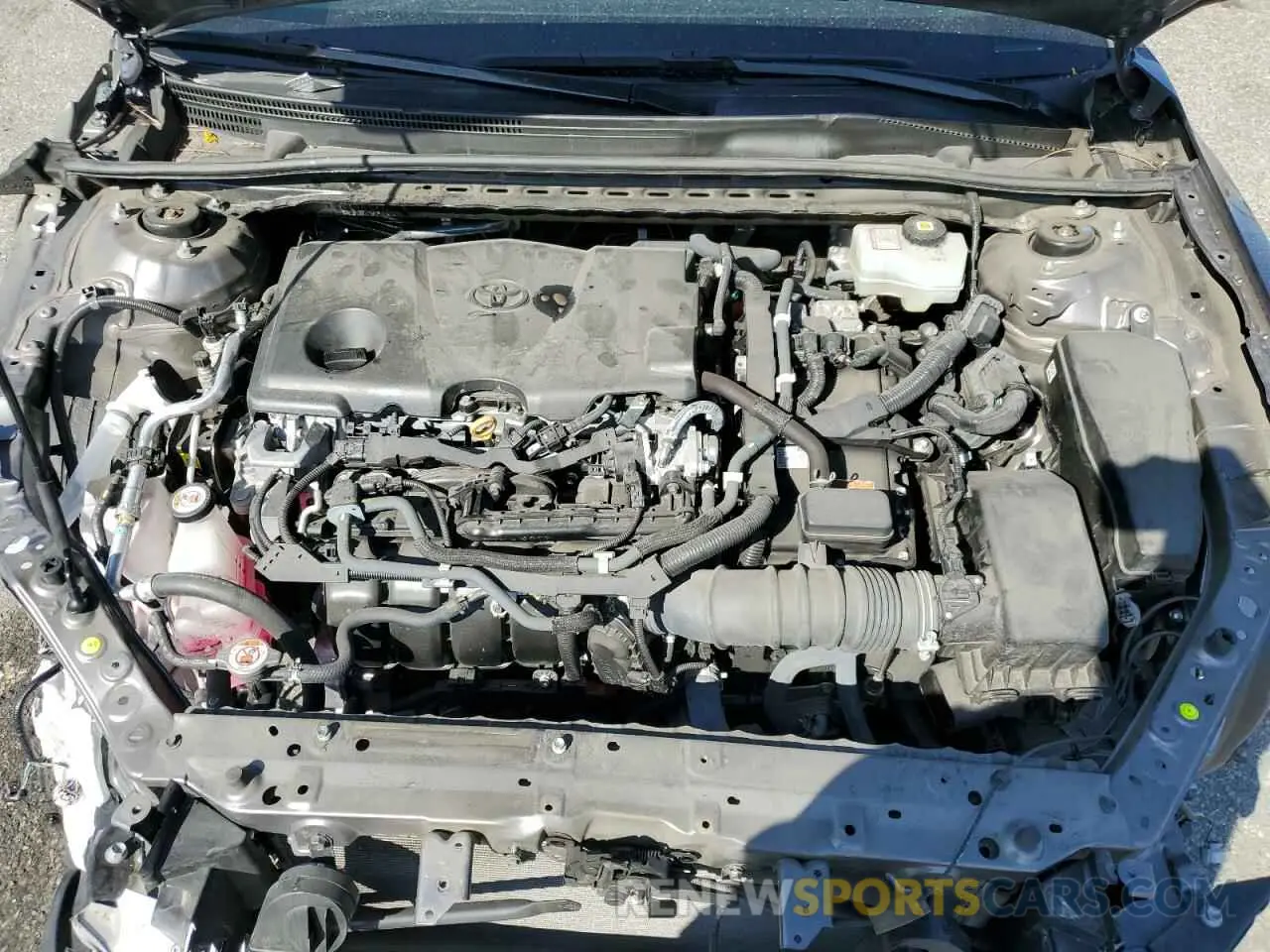 11 fotografías del automóvil dañado 4T1G31AK0MU564785 TOYOTA CAMRY 2021
