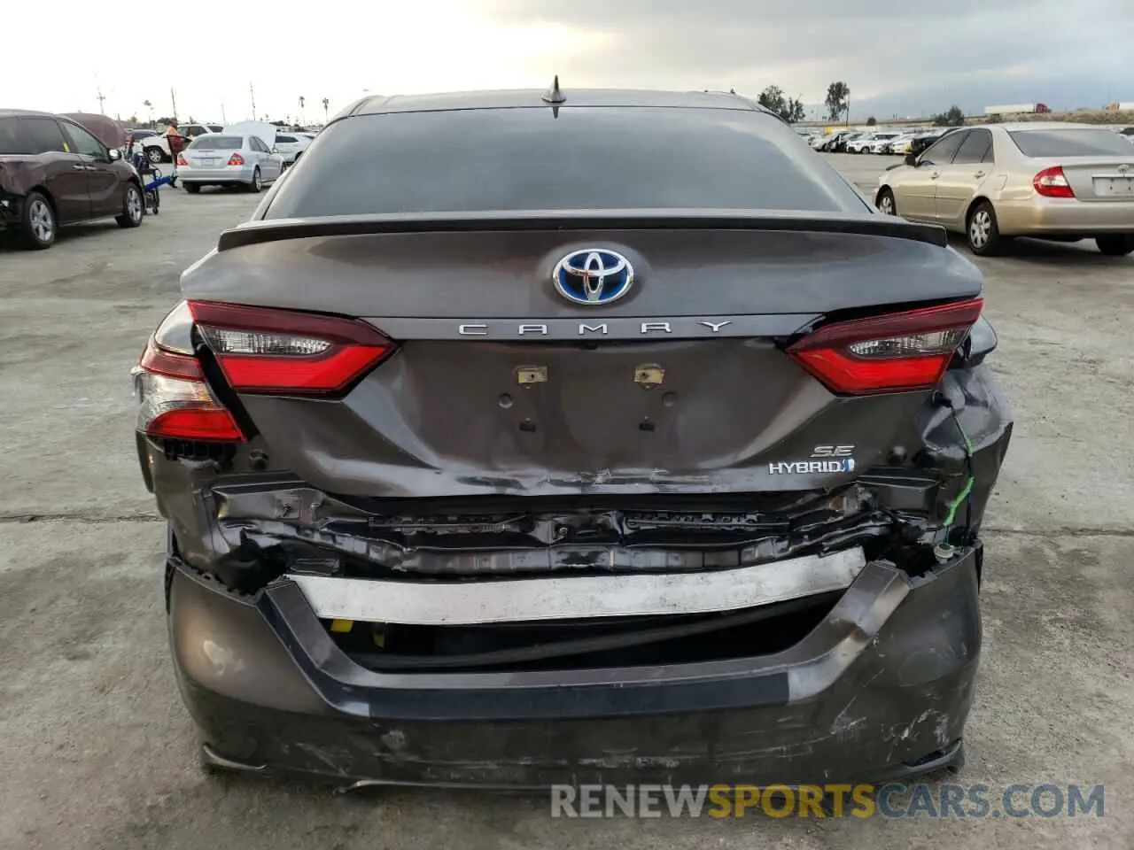 9 fotografías del automóvil dañado 4T1G31AK1MU549180 TOYOTA CAMRY 2021