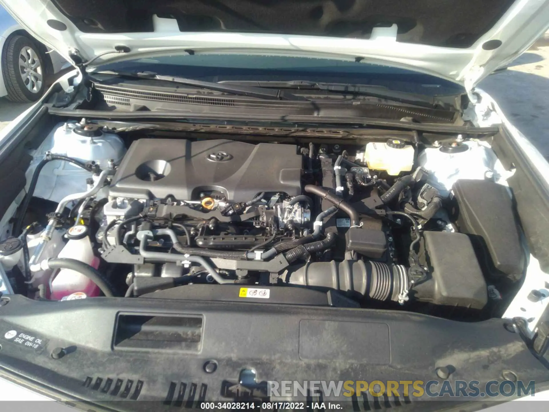 10 fotografías del automóvil dañado 4T1G31AK1MU564391 TOYOTA CAMRY 2021