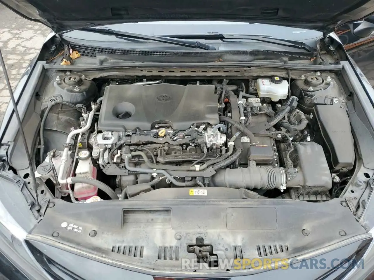 11 fotografías del automóvil dañado 4T1G31AK1MU566982 TOYOTA CAMRY 2021