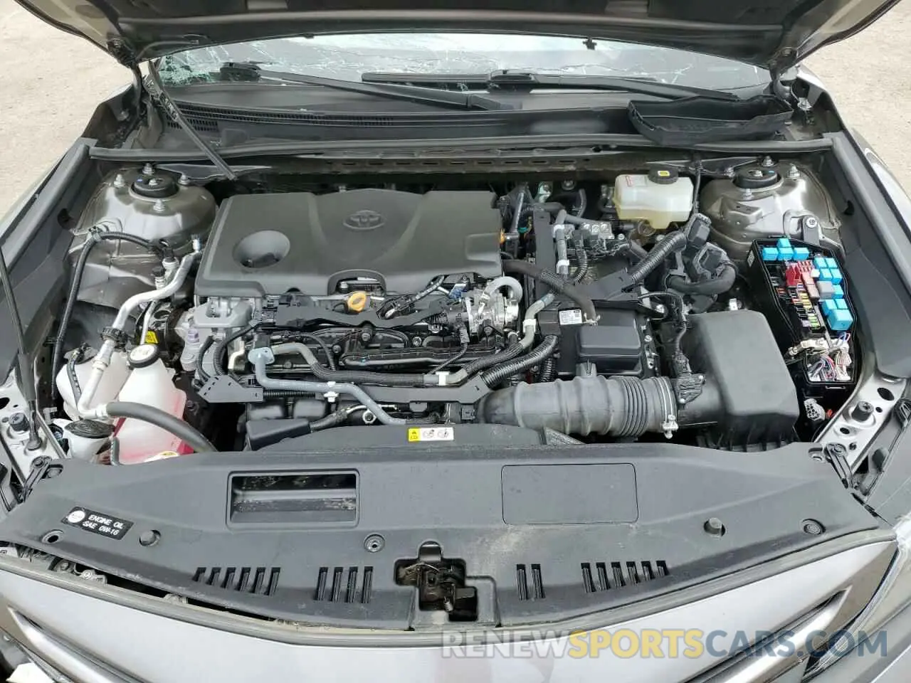 11 fotografías del automóvil dañado 4T1G31AK2MU555974 TOYOTA CAMRY 2021