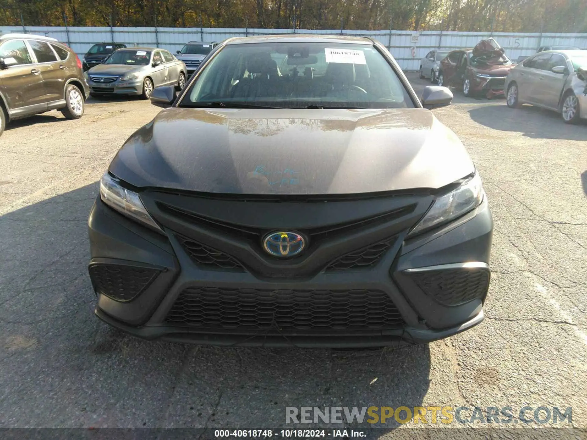 12 fotografías del automóvil dañado 4T1G31AK4MU555653 TOYOTA CAMRY 2021