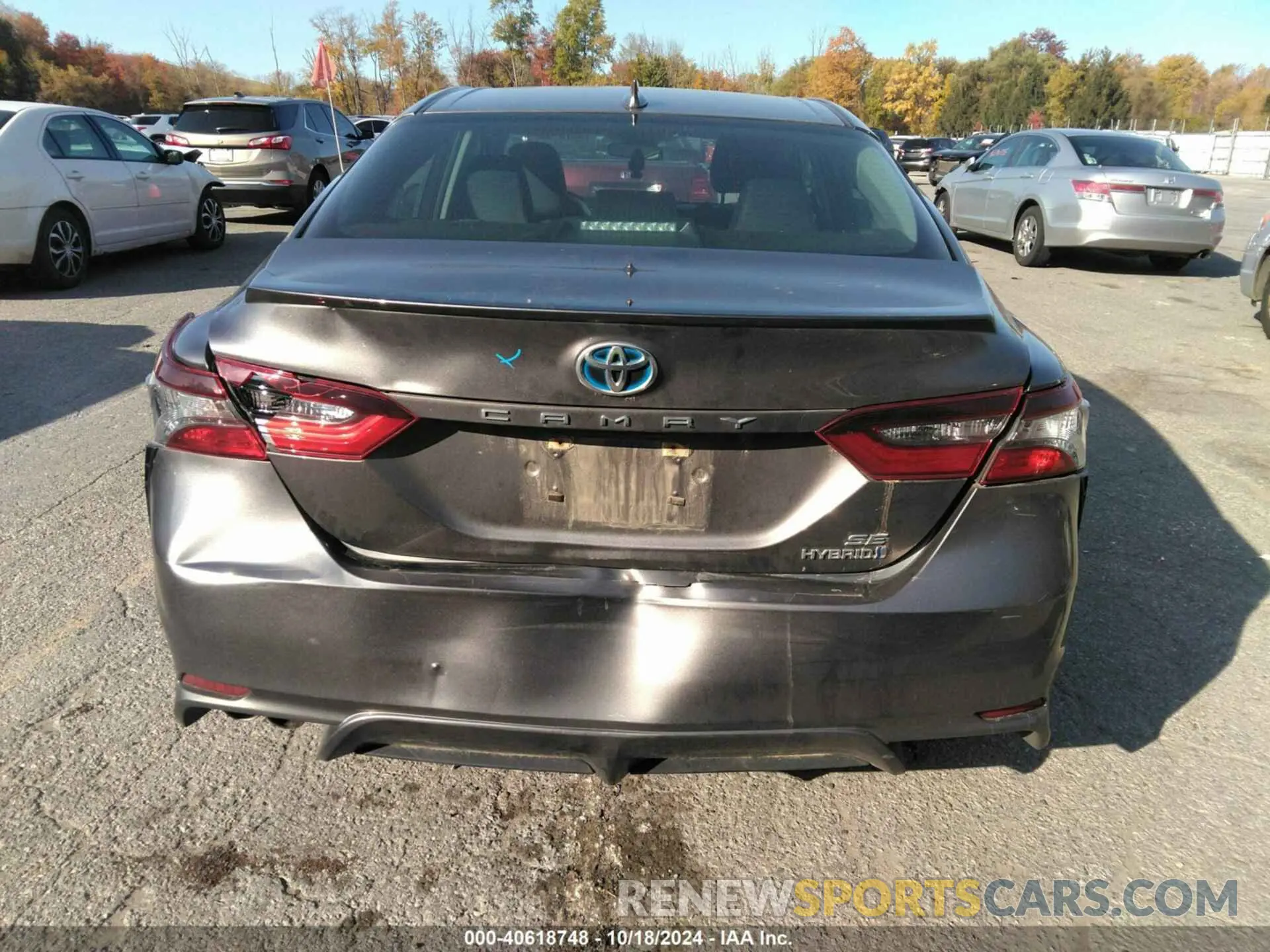 16 fotografías del automóvil dañado 4T1G31AK4MU555653 TOYOTA CAMRY 2021