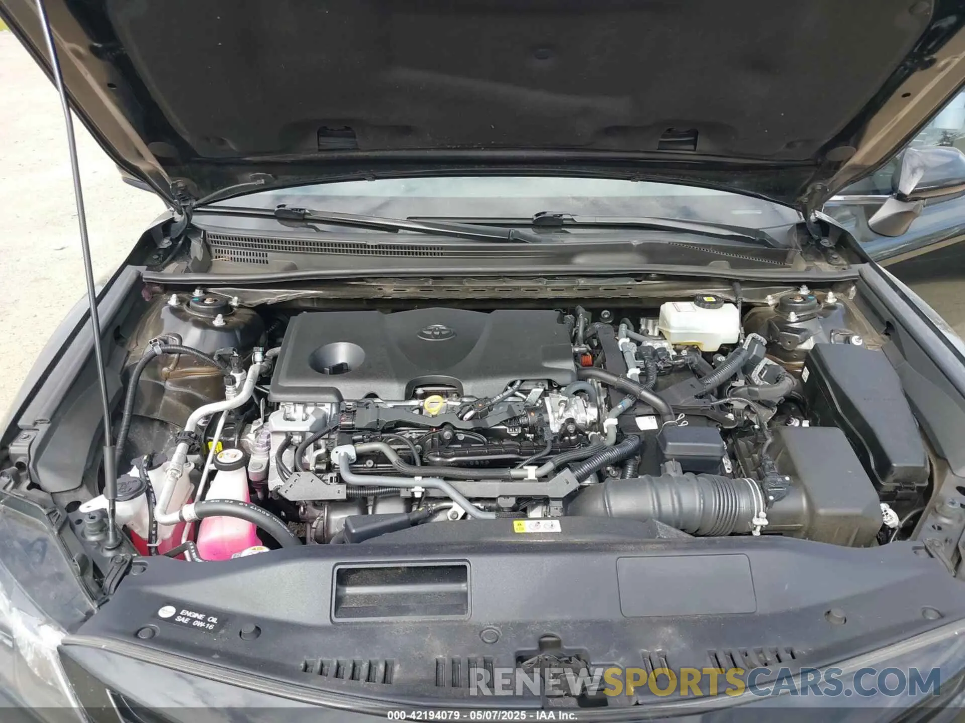10 fotografías del automóvil dañado 4T1G31AK4MU560903 TOYOTA CAMRY 2021