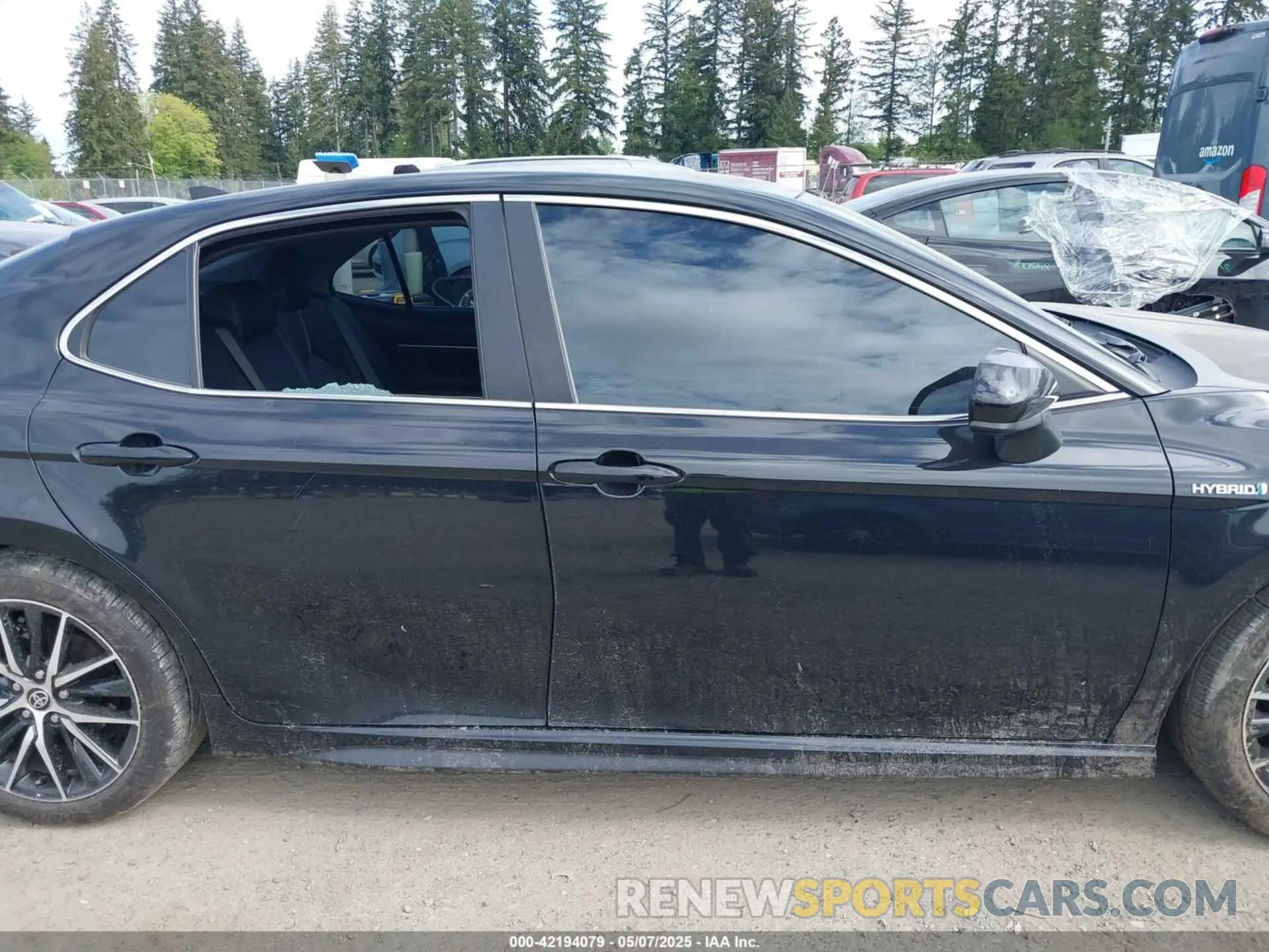 13 fotografías del automóvil dañado 4T1G31AK4MU560903 TOYOTA CAMRY 2021