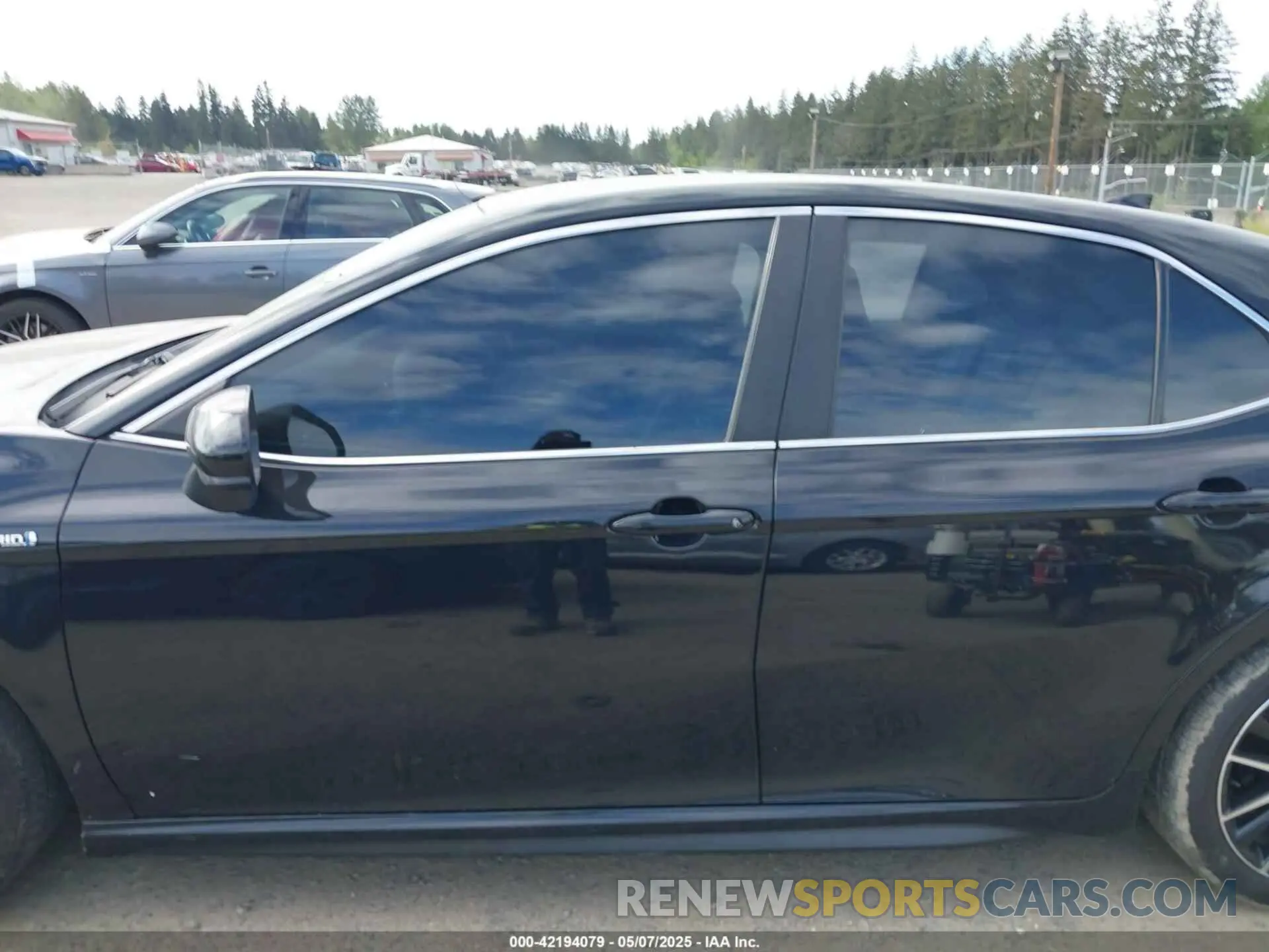 14 fotografías del automóvil dañado 4T1G31AK4MU560903 TOYOTA CAMRY 2021