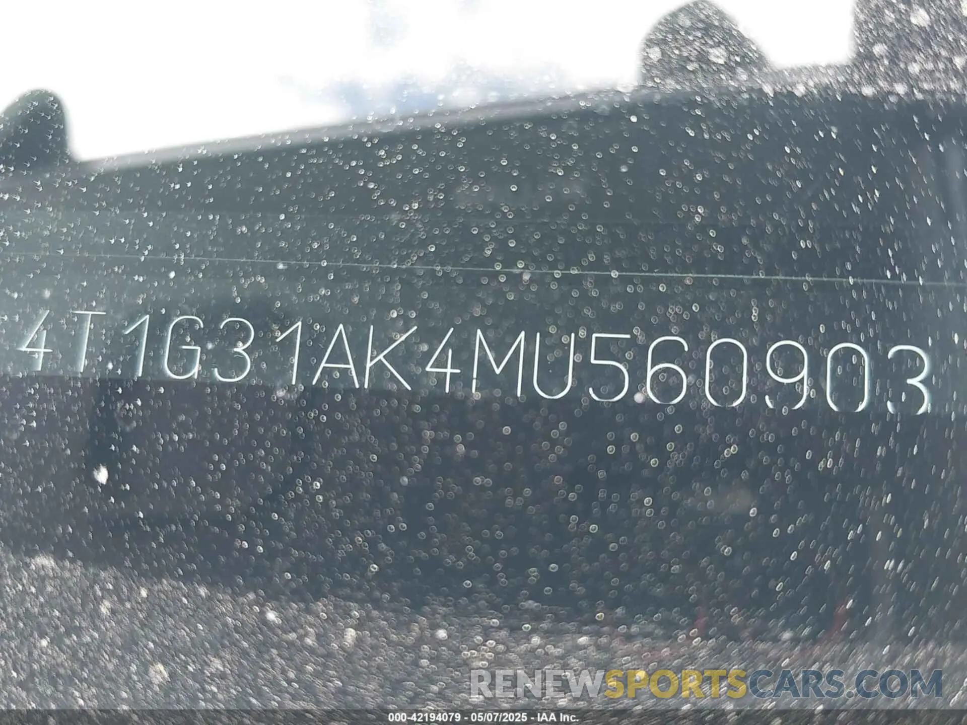 17 fotografías del automóvil dañado 4T1G31AK4MU560903 TOYOTA CAMRY 2021