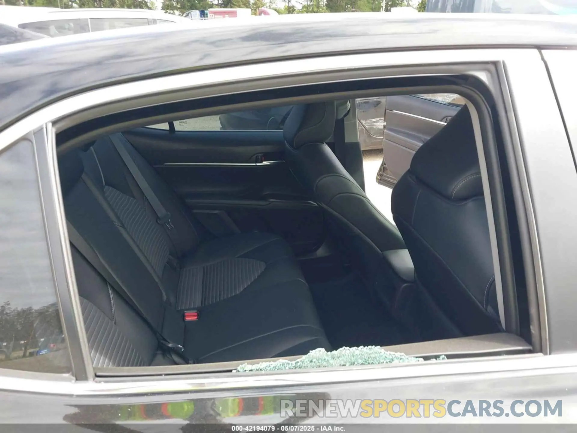 6 fotografías del automóvil dañado 4T1G31AK4MU560903 TOYOTA CAMRY 2021
