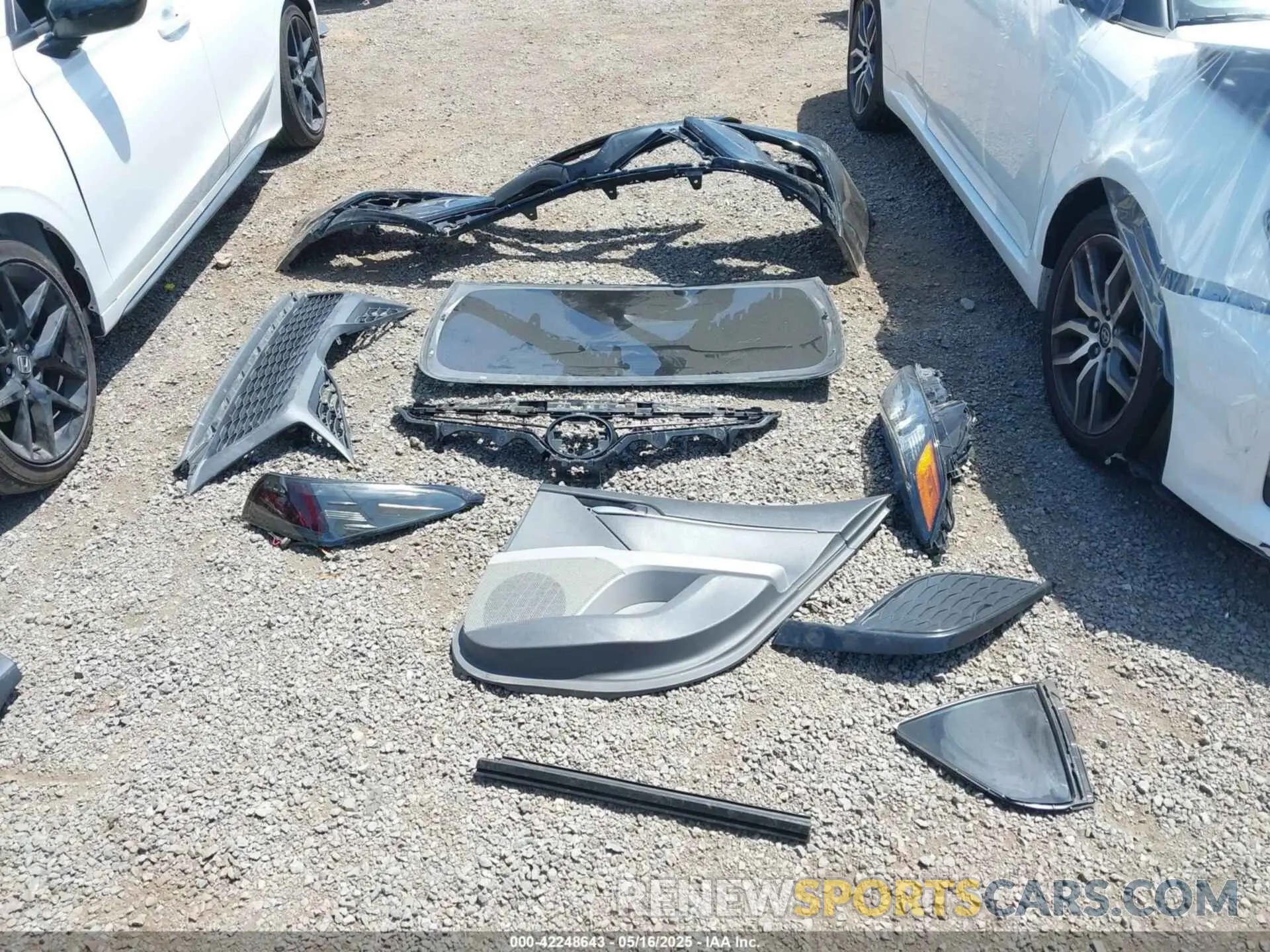 12 fotografías del automóvil dañado 4T1G31AK5MU029158 TOYOTA CAMRY 2021