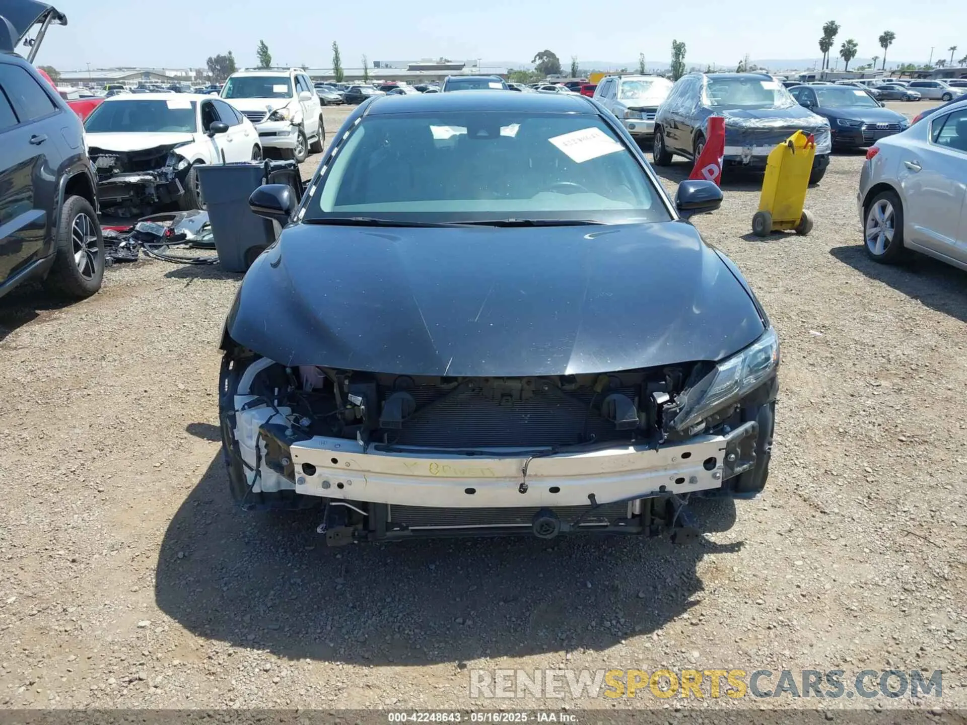 13 fotografías del automóvil dañado 4T1G31AK5MU029158 TOYOTA CAMRY 2021