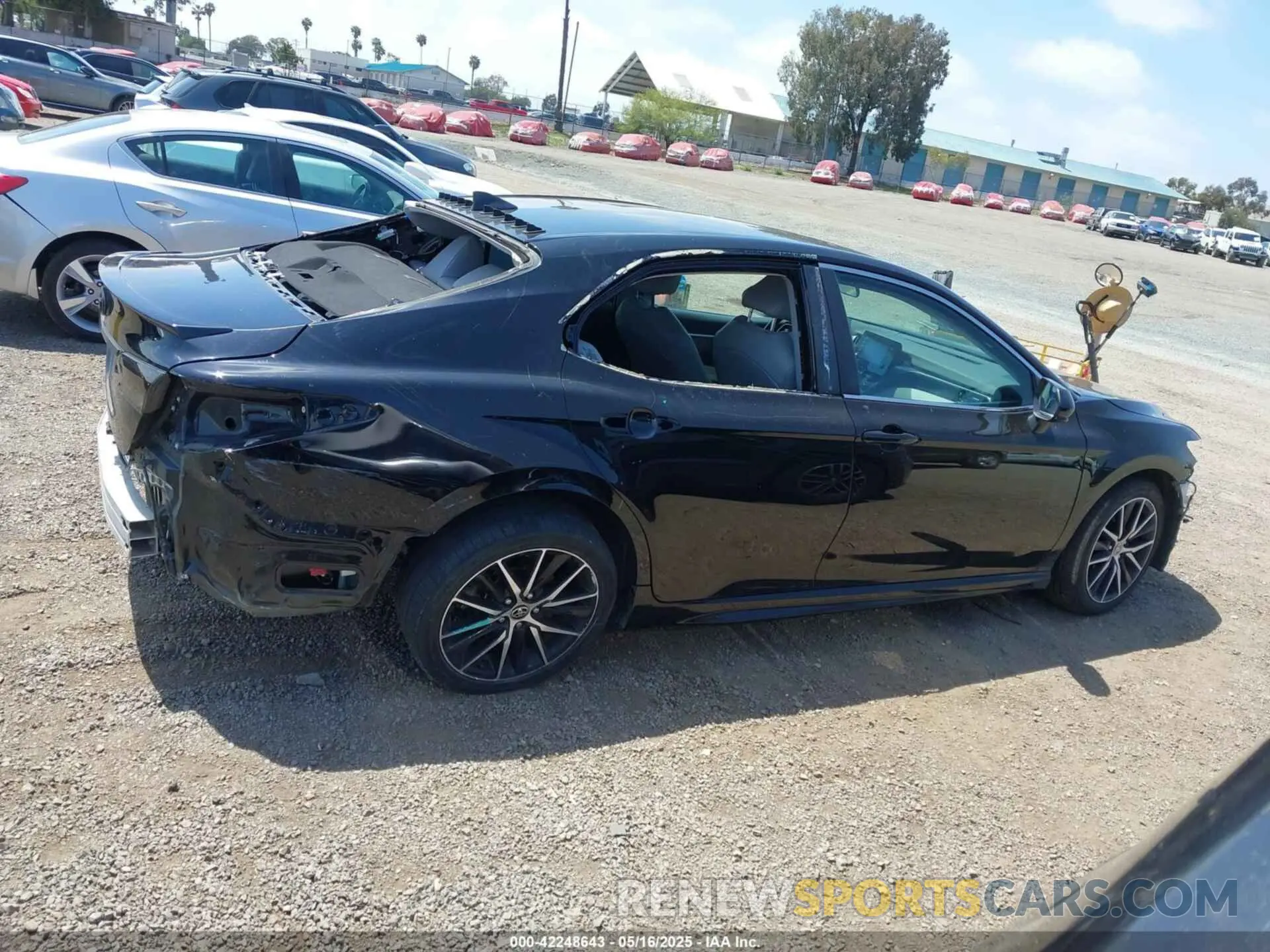 14 fotografías del automóvil dañado 4T1G31AK5MU029158 TOYOTA CAMRY 2021