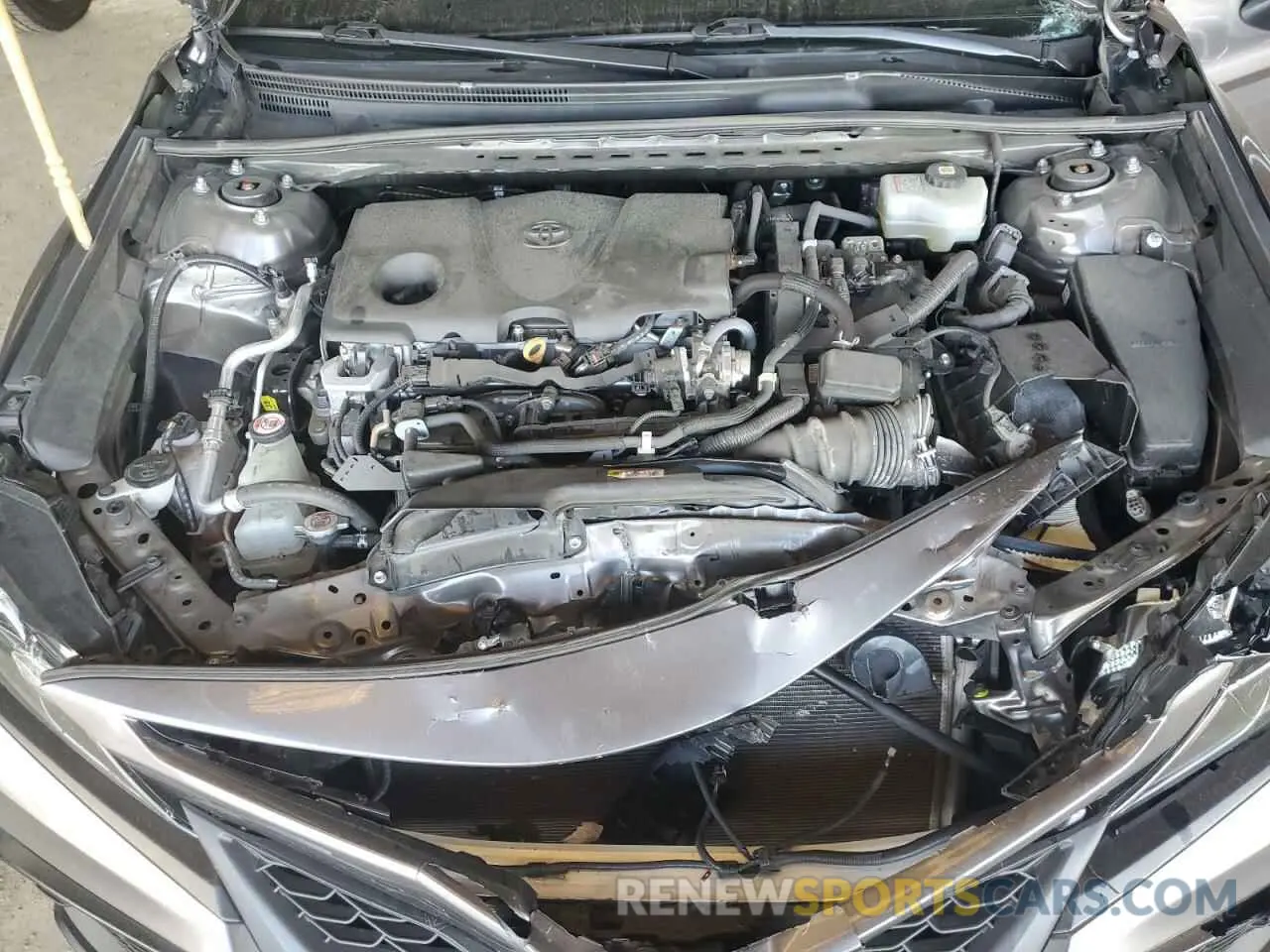 11 fotografías del automóvil dañado 4T1G31AK5MU566466 TOYOTA CAMRY 2021