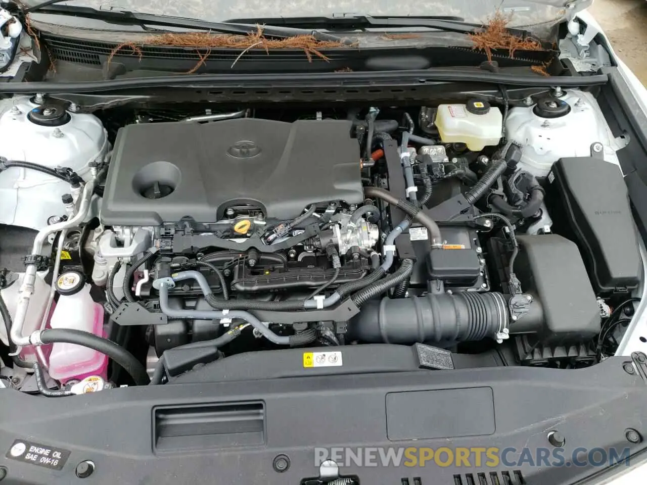 7 fotografías del automóvil dañado 4T1G31AK8MU562718 TOYOTA CAMRY 2021