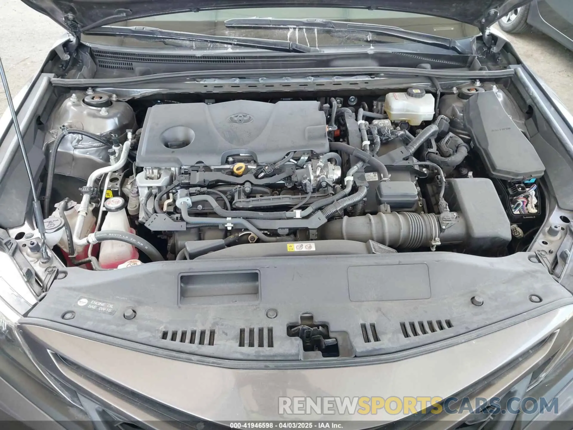 10 fotografías del automóvil dañado 4T1G31AKXMU028863 TOYOTA CAMRY 2021