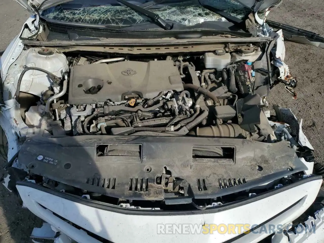 11 fotografías del automóvil dañado 4T1G31AKXMU555544 TOYOTA CAMRY 2021